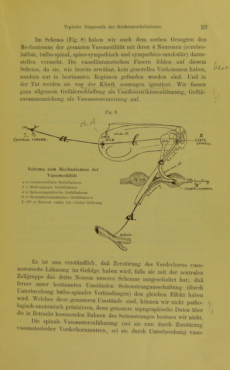 Im Schenui (Fig. 8) haben wir nach dem soeben Gesagten den Mechanismus der gesamten Vasomotilität mit ihren 4 Neuronen (cerebro- bulbär, bulbo-spinal, spino-sympathisch und sympathico-muskuhär) darzu- stellen versucht. Die vasodilatatorischen Fasern fehlen auf diesem Schema, da sie, wie bereits erwähnt, kein generelles Vorkommen haben, sondern nur in bestimmten Regionen gefunden worden sind. Und in der Tat werden sie von^ der Klinik sozusagen ignoriert. Wir fassen ganz allgemein Gefäßerschlaflimg als VasokonstriktorenLähmung, Gefäß- zusammenziehung als Vasomotorenreizung auf. Fig. 8. G/vrRUAL ceaaBR. Schema zum Mechanismus der Vasomotilität n = Cerobrobulbiiie Gei'iißbalmoii b = Bulbospinalo Gefäübahneii c = Spinosympathische Gefaßbahnen d = Sympathicomusknlftre Gefitßbahnen I—rv = Zentren erster bis vierter Ordnung Es ist nun vierstcändlich, daß Zerstörung des Vorderhorns vaso- motorische Lähmung im Gefolge haben wird, falls sie mit der zentralen Zellgruppe das dritte Neuron unseres Schemas ausgeschaltet hat; daß eruer unter bestimmten Umständen Seitenstrangausschaltung (durch Unterbrechung bulbo-spinaler Verbindungen) den gleichen Eifekt haben wird. Welches diese genaueren Umstände sind, können wir nicht patho- logisch-anatomisch präzisieren, denn genauere topographische Daten über die in Betracht kommenden Bahnen des Seitenstranges besitzen wir nicht. Die spmale Vasomotorenlähmung (sei sie nun durch Zerstörung vasomotorischer Vorderhornzentren, sei sie durch Unterbrechung vaso-