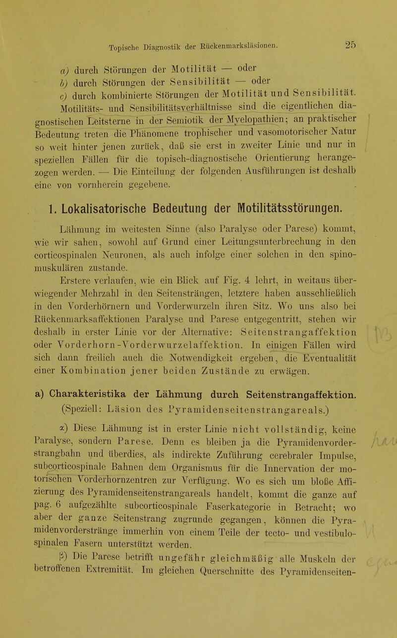 a) durch Störungen der Motilität — oder b) durch Störungen der Sensibilität — oder c) durch kombinierte Störungen der Motilität und Sensibilität. Motilitäts- und Sensibilitätsverhältnisse sind die eigentlichen dia- gnostischen Leitsterne in der Seniiotik der Mjelopathien; an praktischer Bedeutung treten die Phänomene trophischer und vasomotorischer Natur so weit hinter jenen zurück, daß sie erst in zweiter Linie und nur in speziellen Fällen für die topisch-diagnostische Orientierung herange- zogen werden. — Die Einteilung der folgenden Ausführungen ist deshalb eine von vornherein gegebene. 1. Lokalisatorische Bedeutung der Motilitätsstörungen. Lähmung im weitesten Sinne (also Paralyse oder Parese) kommt, wie wir sahen, sowohl auf Grund einer Leituugsuuterbrechung in den corticospinalen Neuronen, als auch infolge einer solchen in den spino- muskulären zustande. Erstere verlaufen, wie ein Blick auf Fig. 4 lehrt, in weitaus über- wiegender Mehrzahl in den Seitensträngen, letztere haben ausschließlich in den Vorderhörnern und Vorderwurzeln ihren Sitz. Wo uns also bei Rückenmarksaitektionen Paralyse und Parese entgegentritt, stehen wir deshalb in erster Linie vor der Alternative: Seitenstrangaffektiou oder Vorderhorn-Vorderwurzelaffektion. In einigen Fällen wird sich dann freilich auch die Notwendigkeit ergeben, die lEventualität einer Kombination jener beiden Zustände zu erwägen. a) Charakteristika der Lähmung durch Seitenstrangaffektion, (Speziell: Läsion des Pyraniidenseitenstrangareals.) Diese Lähmung ist in erster Linie nicht vollständig, keine Paralyse, sondern Parese. Denn es bleiben ja die Pyramidenvorder- strangbahn und überdies, als indirekte Zuführung cerebraler Impulse, subcorticospinale Bahnen dem Organismus für die Innervation der mo- torischen Vorderhornzentren zur Verfügung. Wo es sich um bloße Atii- zierung des Pyramidenseitenstrangareals handelt, kommt die ganze auf pag. 6 aufgezählte subcorticospinale Faserkategorie in Betracht; wo aber der ganze Seitenstrang zugrunde gegangen, können die Pyra- midenvorderstränge immerhin von einem Teile der tecto- und vestibulo- spinalen Fasern unterstützt werden. |i) Die Parese betritft ungefähr gleichmäßig alle Muskeln der betroffenen Extremität. Im gleichen Querschnitte des Pyramidenseiten-