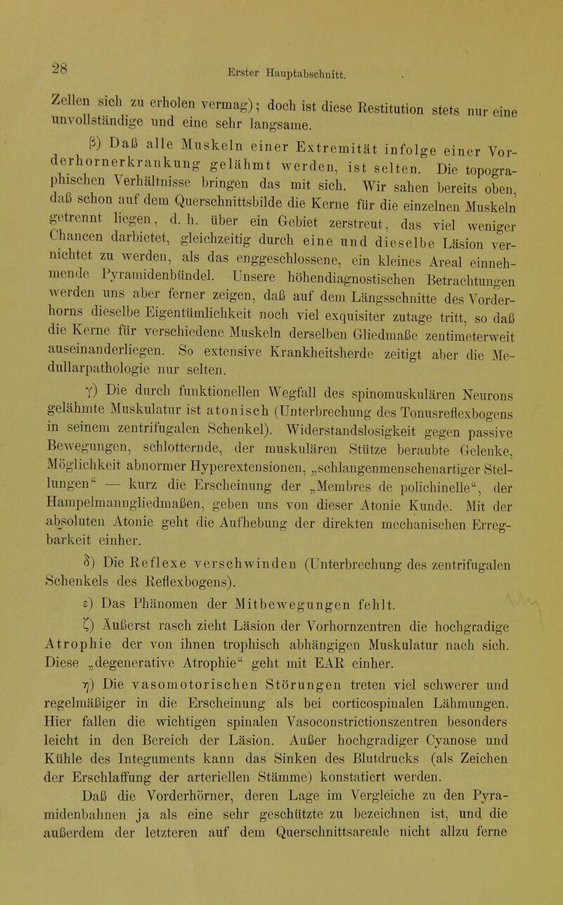 Zellen sieh zu erholen vermag); doch ist diese Restitution stets nur eine unvollständige und eine sehr langsame. ß) Daß alle Muskeln einer Extremität infolge einer Vor- derhornerkrankung gelähmt werden, ist selten. Die topogra- phischen Verhältnisse bringen das mit sich. Wir sahen bereits oben daß schon auf dem Querschnittsbilde die Kerne für die einzelnen Muskeln getrennt liegen, d.h. über ein Gebiet zerstreut, das viel weniger Chancen darbietet, gleichzeitig durch eine und dieselbe Läsion ver- nichtet zu werden, als das enggeschlossene, ein kleines Areal einneh- mende Pyramidenbündel. Unsere höhendiagnostischen Betrachtungen werden uns aber ferner zeigen, daß auf dem Längsschnitte des Vorder- horns dieselbe Eigentümlichkeit noch viel exquisiter zutage tritt, so daß die Kerne für verschiedene Muskeln derselben Gliedmaße zentimeterweit auseinanderliegen. So extensive Krankheitsherde zeitigt aber die Me- dullarpathologie nur selten. Y) Die durch funktionellen Wegfall des spinomuskulären Neurons gelähmte Muskulatur ist atonisch (Unterbrechung des Tonusreflexbogens in seinem zentrifugalen Schenkel). Widerstandslosigkeit gegen passive Bewegungen, schlotternde, der muskulären Stütze beraubte Gelenke, Möglichkeit abnormer Hyperexteusionen, „schlangenmenschenartiger Stel- lungen — kurz die Erscheinung der „Membres de polichinelle, der Hampelmanngliedmaßen, geben uns von dieser Atonie Kunde. Mit der absoluten Atonie geht die Aufhebung der direkten mechanischen Erreg- barkeit einher. S) Die Reflexe verschwinden (Unterbrechung des zentrifugalen Schenkels des Reflexbogens). s) Das Phänomen der Mitbewegungen fehlt. C) Äußerst rasch zieht Läsion der Vorhornzentren die hochgradige Atrophie der von ihnen trophisch abhängigen Muskulatur nach sich. Diese „degenerative Atrophie geht mit EAR einher. 73) Die vasomotorischen Störungen treten viel schwerer und regelmäßiger in die Erscheinung als bei corticospinalen Lähmungen. Hier fallen die wichtigen spinalen Vasoconstrictionszentren besonders leicht in den Bereich der Läsion. Außer hochgradiger Cyanose und Kühle des Integuments kann das Sinken des Blutdrucks (als Zeichen der Erschlafl'ung der arteriellen Stämme) konstatiert werden. Daß die Vorderhörner, deren Lage im Vergleiche zu den Pyra- midenbahnen ja als eine sehr geschützte zu bezeichnen ist, und die außerdem der letzteren auf dem Querschnittsareale nicht allzu ferne