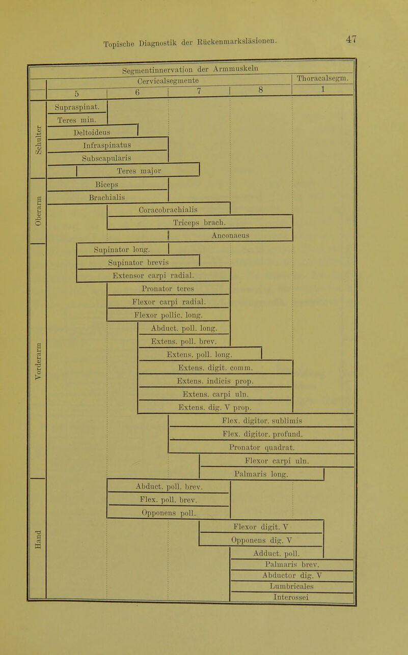 SeR'mentinnervation der Annnuiskeln Cerviealsegmente Supraspinat. Teres min. o ■n n2 6 Thoracalsegm. 1 Deltoideus Infraspinatus Subscapularis I Teres major Biceps Bracliialis Coracobracbialis Triceps bracb. Anconaeus Supiuator long. Supinator brevis Extensor carpi radial. Pronator teres Flexor carpi radial. Flexor pollic. long. Äbduct. poll. long. Extens. poll. brev. Extens. poll. long. Extens. digit. comm. Extens. indicis pnip. Extens. cai'pi nln. Extens. dig. V prop. Elex, digitor. snblimis B^lex. digitor. profund. Pronator qnadrat. Flexor carpi uln. Palmaris long. Abduct. poll. brev. Elex. poll. brev. Opponens poll. Flexor digit. V Opponens dig. V Adduct. poll. Palmaris brev. Abductor dig. V Lumbricales Interossei