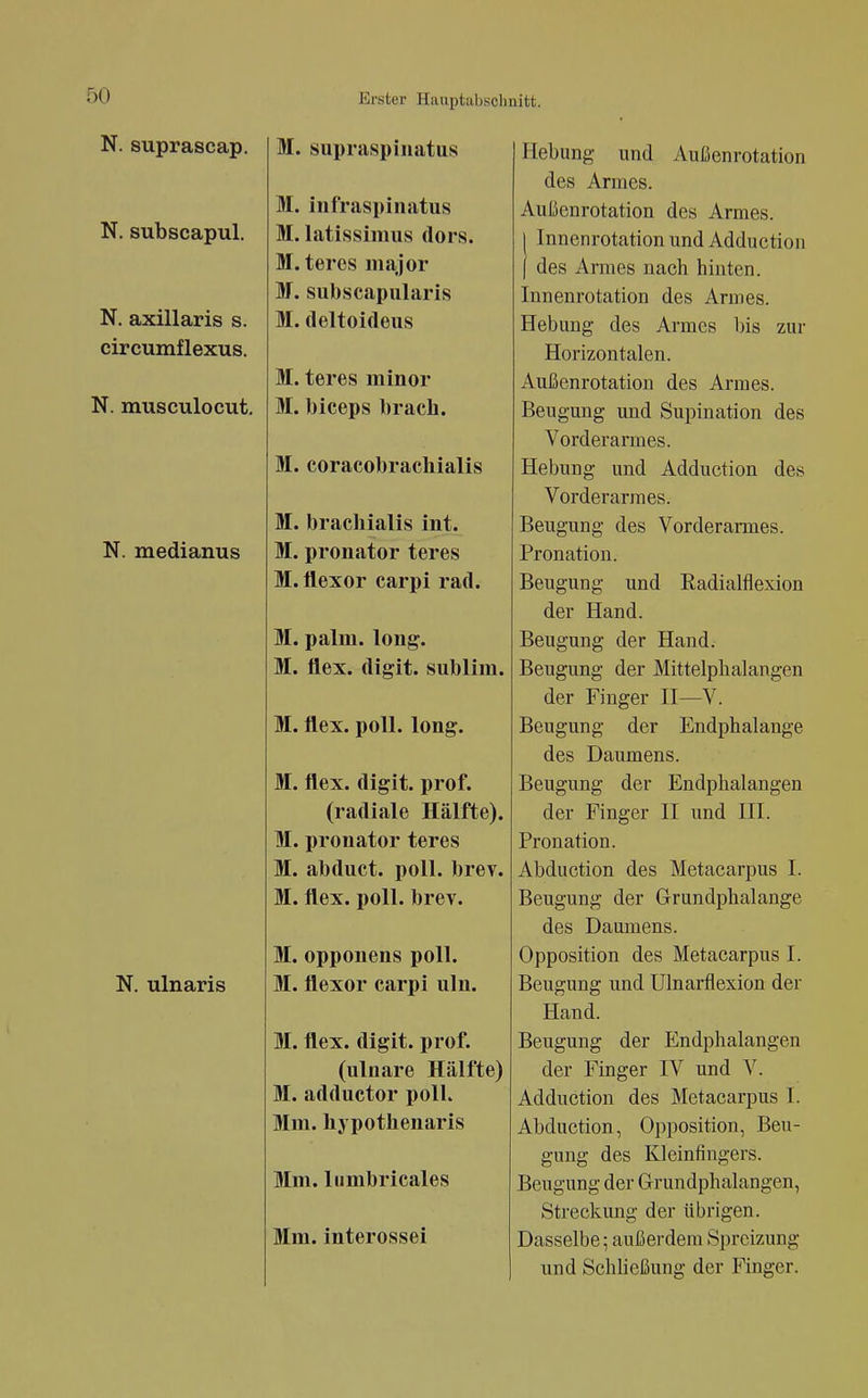 N. suprascap. N. subscapul. N. axillaris s. circumflexus. N. musculocut. N. medianus N. ulnaris M. supraspinatus M. infraspinatus M. latisslmus dors. M. teres major M. subscapularis M. deltoideus M. teres minor M. biceps brach. M. coracobrachialis M. bracbialis int. M. Pronator teres M. flexor carpi rad. M. palm. long. M. flex. digit. sublim. M. flex. poU. long. M. flex. digit. prof. (radiale Hälfte). M. Pronator teres M. abduct. poll. brev. M. flex. poll. brev. M. opponens poll. M. flexor carpi uln. M. flex. digit. prof. (ulnare Hälfte) M. adductor poll. Mm. hypothenaris Mm. liimbricales Mm. interossei Hebung und Außenrotation des Armes. Außenrotation des Armes. 1 Innenrotation und Adduction ) des Armes nach hinten. Innenrotation des Armes. Hebung des Armes bis zur Horizontalen. Außenrotatiou des Armes. Beugung und Supination des Vorderarmes. Hebung und Adduction des Vorderarmes. Beugung des Vorderarmes. Pronation. Beugung und Radialflexion der Hand. Beugung der Hand. Beugung der Mittelplialangen der Finger II—V. Beugung der Endphalange des Daumens. Beugung der Endphalangen der Finger II und III. Pronation. Abduction des Metacarpus I. Beugung der Grundphalange des Daumens. Opposition des Metacarpus I. Beugung und Ulnarflexion der Hand. Beugung der Endphalangen der Finger IV und V. Adduction des Metacarpus I. Abduction, Opposition, Beu- gung des Kleinfingers. Beugung der Grundphalangen, Streckung der übrigen. Dasselbe; außerdem Spreizung und Schließung der Finger.