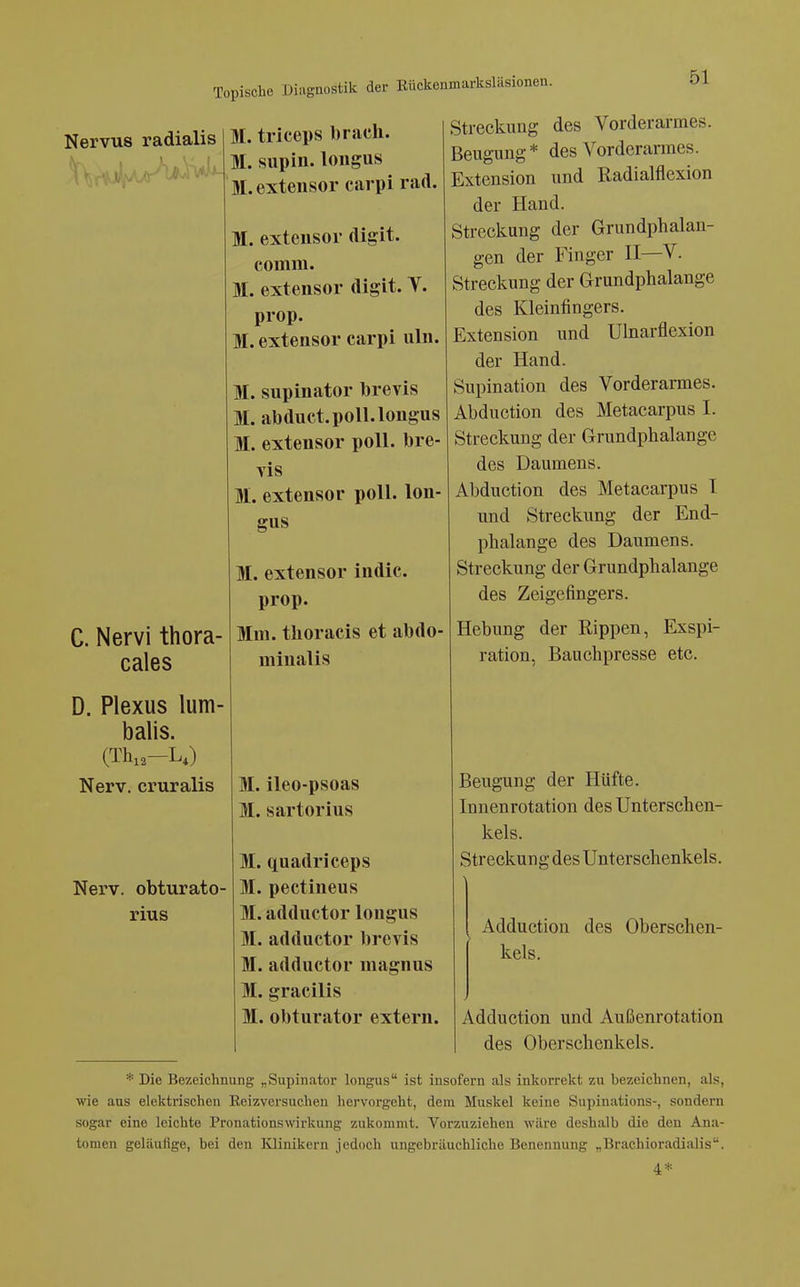 Nervus radialis C. Nervi thora- cales D. Plexus lum- balis. (Thi2-L,) Nerv, cruralis Nerv, obturato- rius M. triceps brach. M. siipin. loiigus M. extensor carpi rad. M. extensor digit. comm. M. extensor digit. Y. prop. M. extensor carpi uln. M. supinator brevis M. abduct.poll.longus M. extensor poll. bre- vis M. extensor poll. lon- gus M. extensor indic. prop. Mm. tlioracis et abdo- minalis M. ileo-psoas M. sartorius UI. quadriceps M. pectineus M. adductor longus M. adductor brevis M. adductor magnus M. gracilis M. obturator extern. Streckung des Vorderarmes. Beugung * des Vorderarmes. Extension und Radialflexion der Hand. Streckung der Grundphalan- gen der Finger II—V. Streckung der Grundphalange des Kleinfingers. Extension und Ulnarflexion der Hand. Supination des Vorderarmes. Abduction des Metacarpus I. Streckung der Grundphalange des Daumens. Abduction des Metacarpus I und Streckung der End- phalange des Daumens. Streckung der Grundphalange des Zeigefingers. Hebung der Rippen, Exspi- ration, Bauchpresse etc. Beugung der Hüfte. Innenrotation des Unterschen- kels. Streckung des Unterschenkels. Adduction des Oberschen- kels. Adduction und Außenrotation des Oberschenkels. * Die Bezeichnung „Supinator longus ist insofern als inkorrekt zu bezeichnen, als, wie aus elektrischen Reizversuchen hervorgeht, dem Muskel keine Supinations-, sondern sogar eine leichte Pronationswirkung zukommt. Vorzuziehen wäre deshalb die den Ana- tomen geläufige, bei den Ivlinikern jedoch ungebräuchliche Benennung „Brachioradialis. 4*