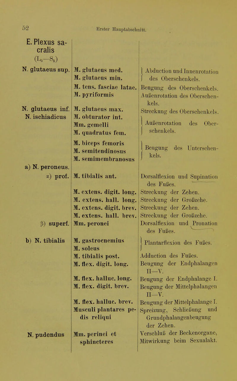 E. Plexus sa- cralis (L5-S,) N. glutaeus sup. N. glutaeus inf. N. ischiadicus a) N. peroneus, a) prof. ß) superf. b) N. tibialis N. pudendus M. glutaeus med. M. glutaeus min. M. tens. fasciae latae. M. piriformis M. glutaeus max. M. obturator int. Mm. gemein M. quadratus fem. M. biceps femoris M. semitendinosus M. semimembranosus M. tibialis ant. M. extens. digit. M. extens. hall. M. extens. digit. M. extens. hall. Mm. peronei long, long, brev. brev. M. gastroenemius M. soleus M. tibialis post. M. flex. digit. long. M. flex. halluc. long. M. flex. digit. brev. M. flex. halluc. brev. Musculi plantares pe- dis reliqui Mm. perinei et sphincteres Abduction und Innenrotatioii des Oberschenkels. Beugung des Oberschenkels. Außenrotation des Oberschen- kels. Streckung des Oberschenkels. Außenrotation des Ober- schenkels. Beugung des Unterschen- kels. Dorsalflexion und Supination des Fußes. Streckung der Zehen. Streckung der Großzehe. Streckung der Zehen. Streckung der Großzehe. Dorsalflexion des Fußes. und Prouation Plantarflexion des Fußes. Adduction des Fußes. Beugung der Endphalangcn II—V. Beugung der Endphalange I. Beugung der Mittelphalangcn II—V. Beugung der Mittelphalange I. Spreizung, Schließung und Grundphalangcnbeugung der Zehen. Verschluß der Beckenorganc, Mitwirkung beim Sexualakt.