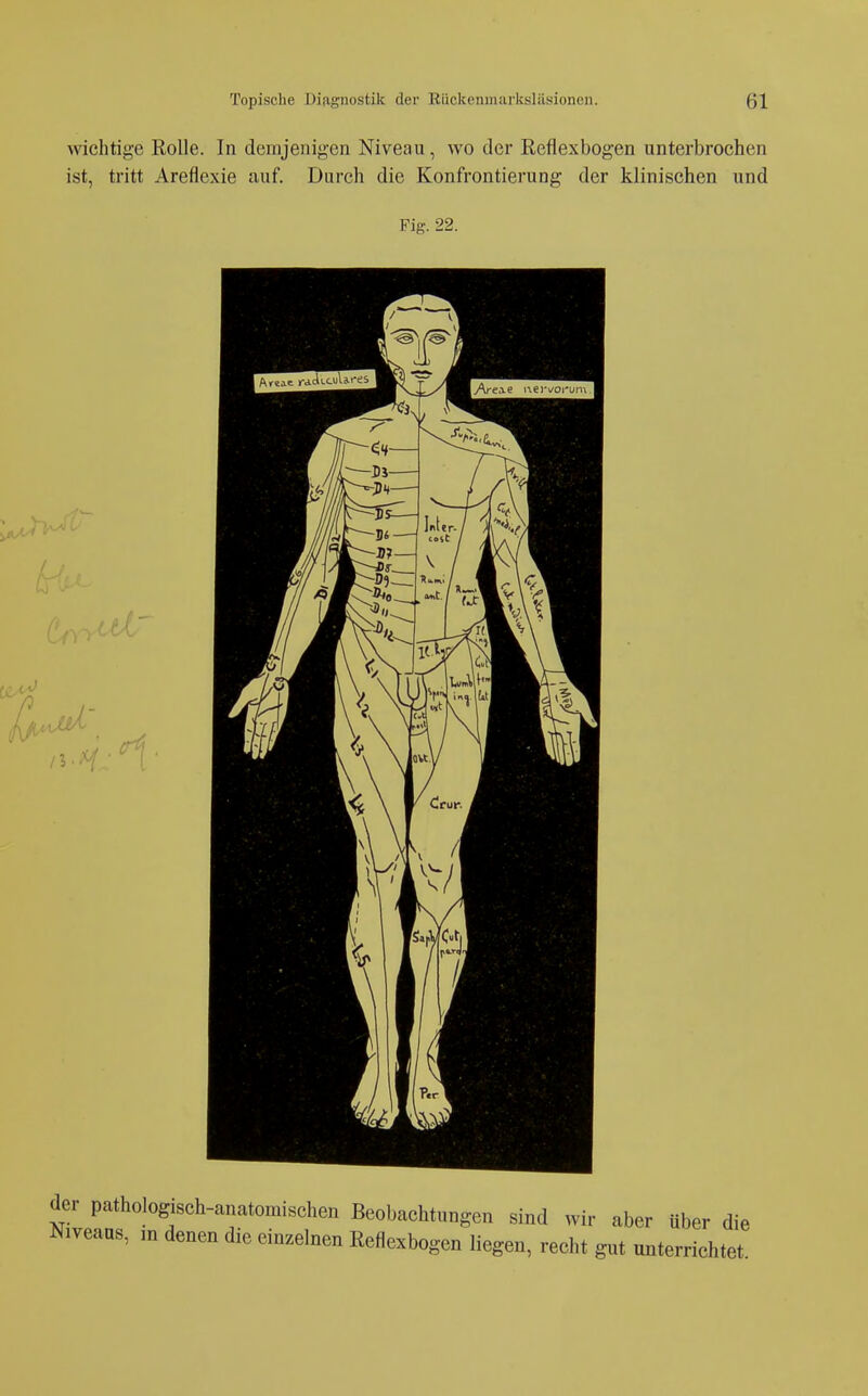 wichtige Rolle. In demjenigen Niveau, wo der Reflexbogen unterbrochen ist, tritt Areflexie auf. Durch die Konfrontierung der klinischen und Fig. 22. der pathologisch-anatomischen Beobachtungen sind wir aber über die Niveaus, m denen die einzelnen Reflexbogen liegen, recht gut unterrichtet.