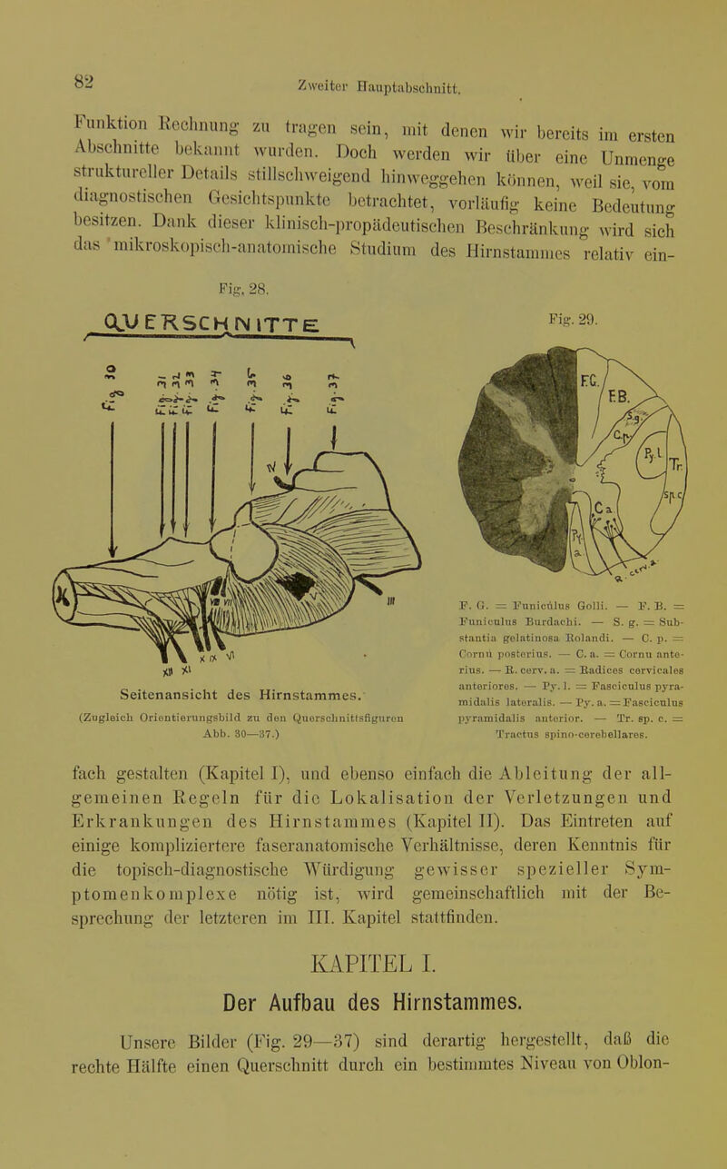 Funktion Rechnung- zu tragen sein, mit denen wir bereits im ersten Abschnitte bekannt wurden. Doch werden wir über eine Unmenge struktureller Details stillschweigend hinweggehen können, weil sie vom diagnostischen Gesichtspunkte betrachtet, vorläufig keine Bedeutung besitzen. Dank dieser klinisch-propädeutischen Beschränkung wird sich das ■mikroskopisch-anatomische Studium des Hirnstammes relativ ein- Fig. 28. QJ^rRSCHINlTTE Fig. 29. Seitenansicht des Hirnstammes. (Zugleich Orioutiorungsbild zu den Quorscliiiittsfigurcn Abb. 30—37.) P. G. = l'unicrtlus Golli. — V. B. = Funiculns Burdachi. — S. g. = Sub- stantia gelatinosa llolandi. — C. p. — Cornü posterius. — C. a. = Cornu ante- rius. — R. cerv. a. = Kadices cerTicales anteriores. — Py. I. = Fascicnlus pj-ra- midalis lateralis. —Py. a. =Pasciculus pyramidalis autorior. — Tr. sp. c. = Tractus spino-cerebellares. fach gestalten (Kapitel I), und ebenso einfach die Ableitung der all- gemeinen Kegeln für die Lokalisation der Verletzungen und Erkrankungen des Hirnstammes (Kapitel IV). Das Eintreten auf einige kompliziertere faseranatomische Verhältnisse, deren Kenntnis für die topisch-diagnostische Würdigung gewisser spezieller Sym- ptomenkomplexe nötig ist, wird gemeinschaftlich mit der Be- sprechung der letzteren im III. Kapitel stattfinden. KAPITEL I. Der Aufbau des Hirnstammes. Unsere Bilder (Fig. 29—37) sind derartig hergestellt, daß die rechte Hälfte einen Querschnitt durch ein bestimmtes Niveau von Oblon-