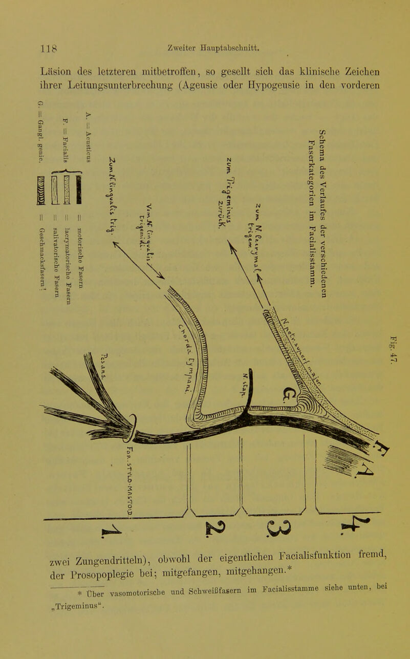 Läsion des letzteren mitbetroffen, so gesellt sieh das klinische Zeichen ihrer Leitungsunterbrechung (Ageusie oder Hypogeusie in den vorderen zwei Zungendritteln), obwohl der eigentlichen Facialisfunktion fremd, der Prosopoplegie bei; mitgefangen, mitgehangen.* Tüi;; vasomotorische und SchweißfaBern im Facialisstamme siehe unten, bei „Trigeminus.