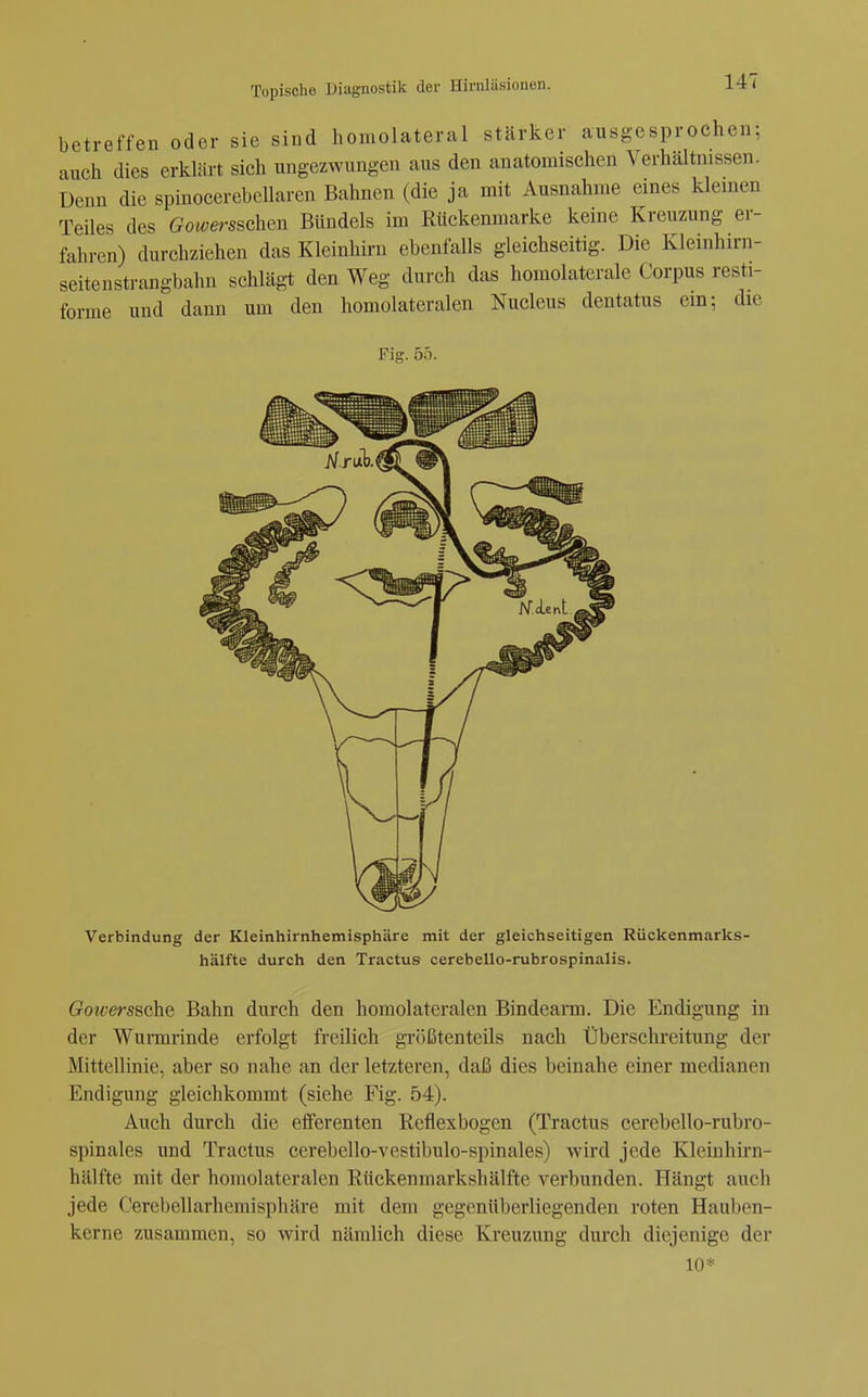 betreffen oder sie sind homolateral stärker ausgesprochen; auch dies erklärt sich ungezwungen aus den anatomischen Verhältnissen. Denn die spinocerebellaren Bahnen (die ja mit Ausnahme eines kleinen Teiles des Gowersschen Bündels im Rückenmarke keine Kreuzung er- fahren) durchziehen das Kleinhirn ebenfalls gleichseitig. Die Kleinhirn- seitenstrangbahn schlägt den Weg durch das homolaterale Corpus resti- forme und dann um den homolateralen Nucleus dentatus em; die Fig. 55. Verbindung der Kleinhirnhemisphäre mit der gleichseitigen Rückenmarks- hälfte durch den Tractus cerebello-rubrospinalis. Gowerssche Bahn durch den homolateralen Bindearm. Die Endigung in der Wurmrinde erfolgt freilich größtenteils nach Überschreitung der Mittellinie, aber so nahe an der letzteren, daß dies beinahe einer medianen Endigung gleichkommt (siehe Fig. 54). Auch durch die efferenten Reflexbogen (Tractus cerebello-rubro- spinales und Tractus cerebello-vestibulo-spinales) wird jede Kleinhirn- hälfte mit der homolateralen Rückenmarkshälfte verbunden. Hängt auch jede Cerebellarhemisphäre mit dem gegenüberliegenden roten Hauben- kerne zusammen, so wird nämlich diese Kreuzung dui'ch diejenige der 10*