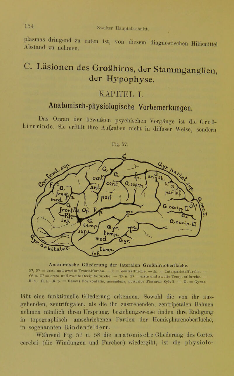 Plasmas dringend zu raten ist, von diesem diagnostischen Hilfsmittel Aostand zu nelimen. C. Läsionen des Großhirns, der Stammganglien, der Hypophyse. KAPITEL I. Anatomisch-physiologische Vorbemerkungen. Das Organ der bewußten psychischen Vorgänge ist die Groß- hirnrinde. Öie erfüllt ihre Aufgaben nicht in dilluser Weise, sondern Fig. 57. Anatomische Gliederung der lateralen Großhirnoberfläche. F') = erste und zweite Frontalturche. — C = Zentralfurche. — Ip. = Interparietalfnrche. — Ol u. 0* — erste und zweite Occipitalfurche. — Ti u. = erste und zweite Temporalfurche. — B. h., K.a., E. p. = Bamns horizontalis, aecendens, posterior Fissurae Sylvii. — 6. = Gyrus. läßt eine funktionelle Gliederung erkennen. Sowohl die von ihr aus- gehenden, zentrifugalen, als die ihr zustrebenden, zentripetalen Bahnen nehmen nämlich ihren Ursprung, beziehungsweise finden ihre Endigung in topographisch umschriebenen Partien der Hemisphärenoberfläche, in sogenannten Rindenfeldern. Während Fig. 57 u. 58 die an atomische Gliederung des Cortex cerebri (die Windungen und Furchen) wiedergibt, ist die physiolo-