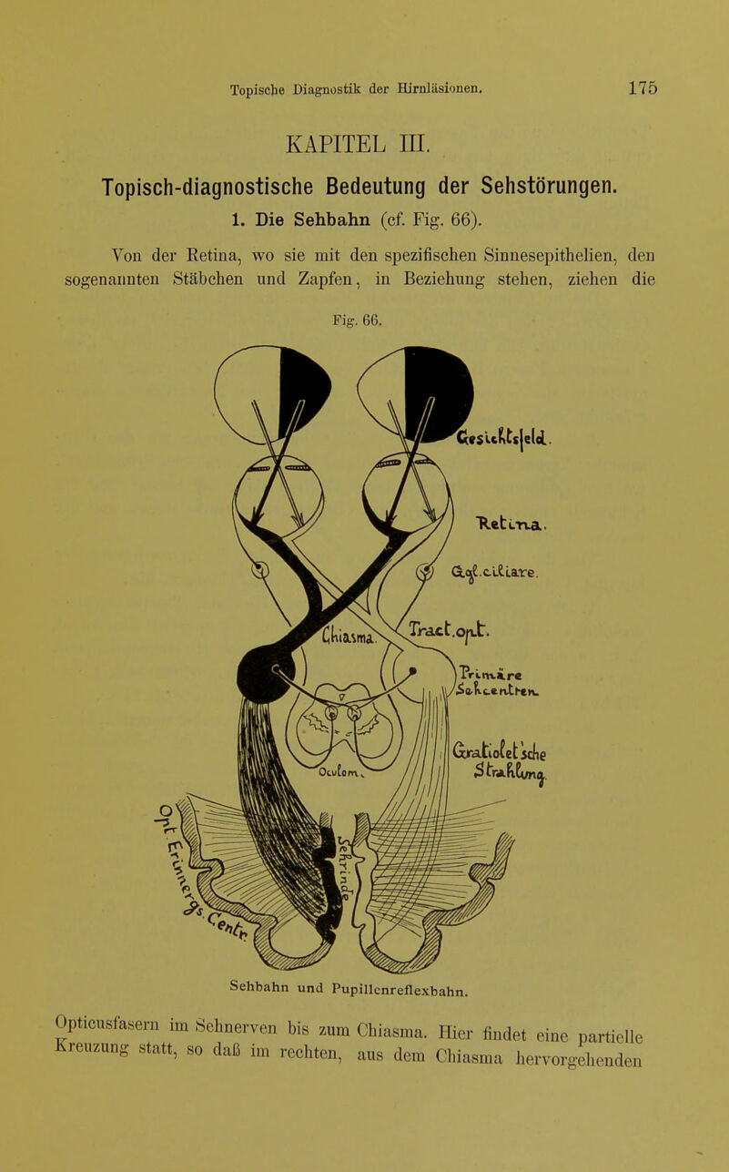 KAPITEL III. Topisch-diagnostische Bedeutung der Sehstörungen. 1. Die Sehbahn (cf. Fig. 66). Von der Eetina, wo sie mit den spezifischen SinnesepitheHen, den sogenannten Stäbchen und Zapfen, in Beziehung stehen, ziehen die Fig. 66. Sehbahn und Pupillcnreflexbahn. Opticusfaseni im .Sehnerven bis zum Chiasma. Hier findet eine partielle Kreuzung statt, so daß im rechten, aus dem Chiasma hervorgehenden