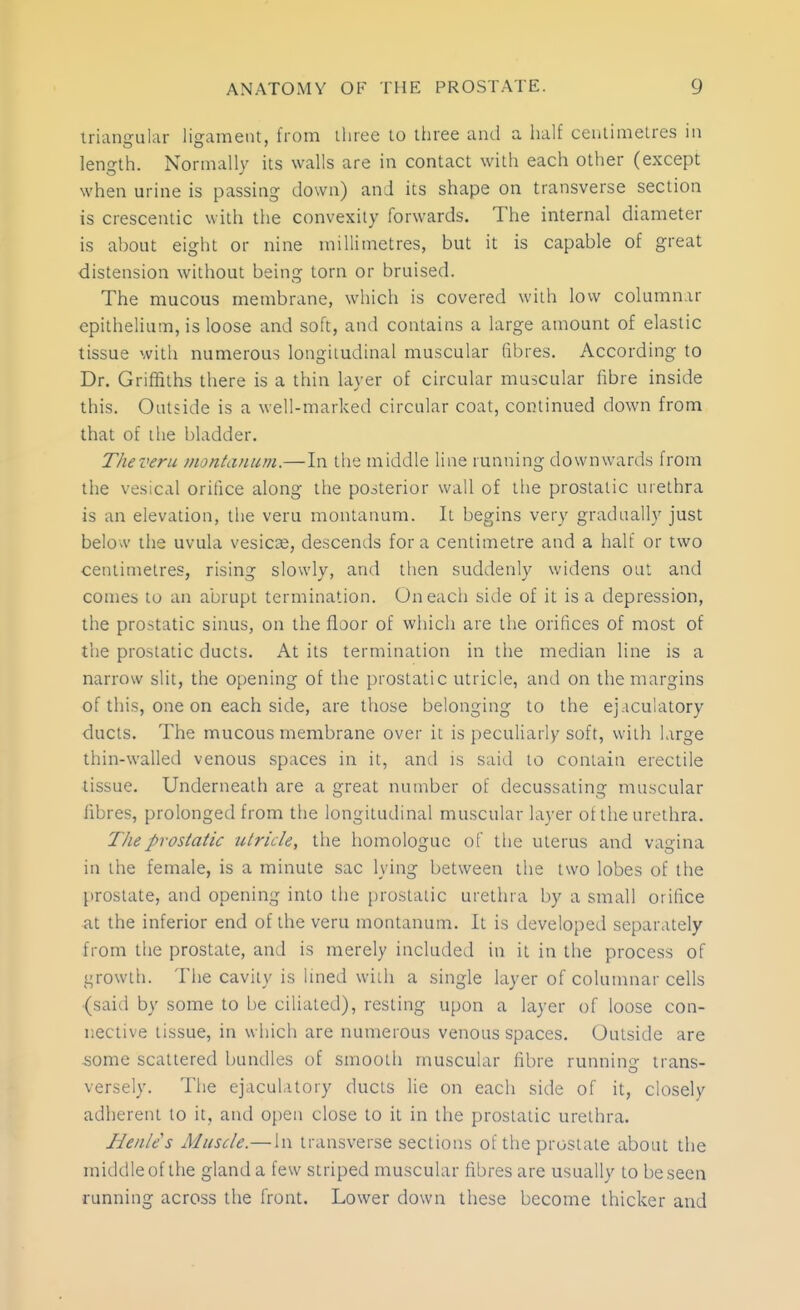 lriixn-ular ligament, from iliiee to three and a half centimetres in length. Normally its walls are in contact with each other (except when urine is passing down) and its shape on transverse section is crescentic with the convexity forwards. The internal diameter is about eight or nine millimetres, but it is capable of great distension without being torn or bruised. The mucous membrane, which is covered with low columnar epithelium, is loose and soft, and contains a large amount of elastic tissue with numerous longitudinal muscular fibres. According to Dr. Griffiths there is a thin layer of circular muscular fibre inside this. Outside is a well-marked circular coat, continued down from that of the bladder. Tlieveru montaiium.—In the middle line running downwards from the vesical orifice along the posterior wall of the prostatic urethra is an elevation, the veru montanum. It begins very gradually just below the uvula vesicae, descends for a centimetre and a iialf or two ceiitimelres, rising slowly, and then suddenly widens out and comes to an abrupt termination. On each side of it is a depression, the prostatic sinus, on the floor of which are the orifices of most of the prostatic ducts. At its termination in the median line is a narrow slit, the opening of the prostatic utricle, and on the margins of this, one on each side, are those belonging to the ej.iculatory ducts. The mucous membrane over it is peculiarly soft, with large thin-walled venous spaces in it, and is said to contaia erectile tissue. Underneath are a great number of decussating muscular fibres, prolonged from tlie longitudinal muscular layer of the urethra. The prostatic utricle, the homologue of tlie uterus and vagina in the female, is a minute sac lying between the two lobes of the prostate, and opening into the prostatic urethra by a small orifice at the inferior end of the veru montanum. It is developed separately from the prostate, and is merely included in it in the process of growth. The cavity is lined widi a single layer of columnar cells (said by some to be ciliated), resting upon a layer of loose con- liective tissue, in which are numerous venous spaces. Outside are some scattered bundles of smooth muscular fibre running- trans- versely. The ejaculatory ducts lie on each side of it, closely adherent to it, and open close to it in the prostatic urethra. Jieiile's Muscle.— In transverse sections of the prostate about the middle of the gland a few striped muscular fibres are usually to be seen running across the front. Lower down these become thicker and