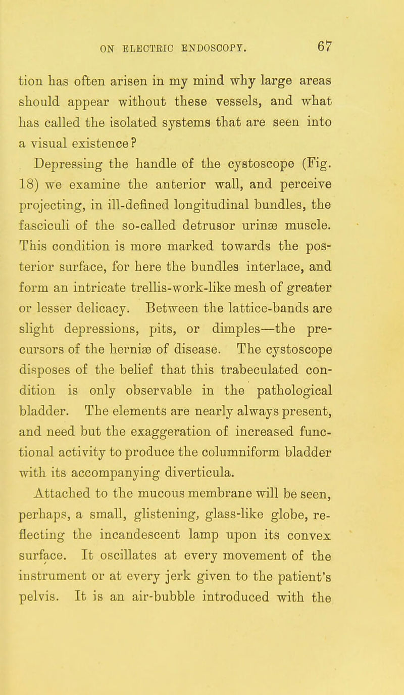 tion lias often arisen in my mind why large areas should appear without these vessels, and what has called the isolated systems that are seen into a visual existence ? Depressing the handle of the cystoscope (Fig. 18) we examine the anterior wall, and perceive projecting, in ill-defined longitudinal bundles, the fasciculi of the so-called detrusor urinas muscle. This condition is more marked towards the pos- terior surface, for here the bundles interlace, and form an intricate trellis-work-like mesh of greater or lesser delicacy. Between the lattice-bands are slight depressions, pits, or dimples—the pre- cursors of the herniaa of disease. The cystoscope disposes of the belief that this trabeculated con- dition is only observable in the pathological bladder. The elements are nearly always present, and need but the exaggeration of increased func- tional activity to produce the columniform bladder with its accompanying diverticula. Attached to the mucous membrane will be seen, perhaps, a small, glistening, glass-like globe, re- flecting the incandescent lamp upon its convex surface. It oscillates at every movement of the instrument or at every jerk given to the patient's pelvis. It is an air-bubble introduced with the