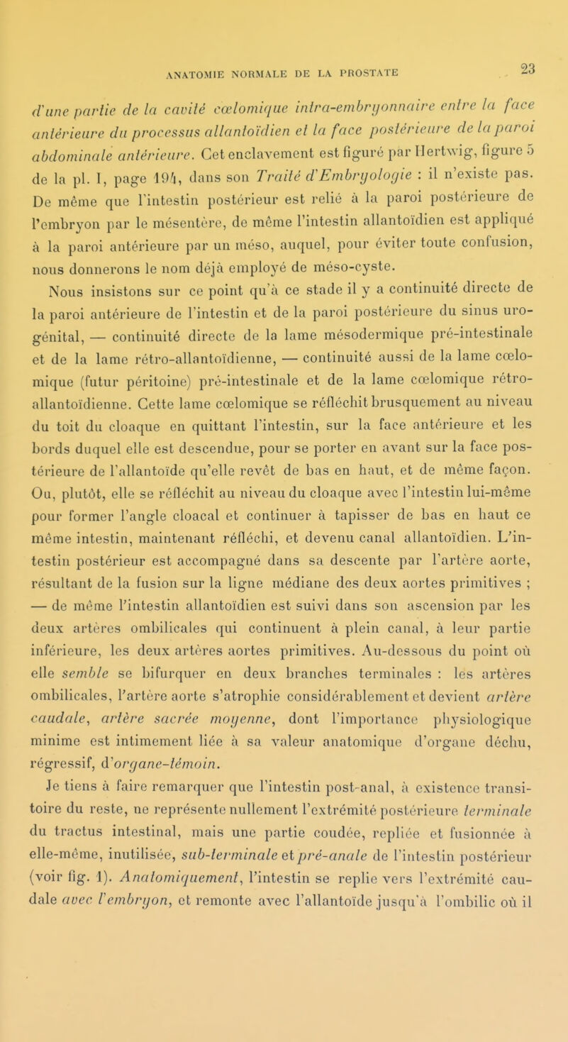 d'une parlie de la cavité cœlomique inira-embrijonnaire entre la face antérieure da processus allantoïdien et la face postérieure de la paroi abdominale antérieure. Cet enclavement est figuré par Hertwig, figure 5 de la pl. I, page 19'i, dans son Traité d'Embryologie : il n'existe pas. De même que l'intestin postérieur est relié à la paroi postérieure de l'embryon par le mésentère, de même l'intestin allantoïdien est appliqué à la paroi antérieure par un méso, auquel, pour éviter toute confusion, nous donnerons le nom déjà employé de méso-cyste. Nous insistons sur ce point qu'à ce stade il y a continuité directe de la paroi antérieure de l'intestin et de la paroi postérieure du sinus uro- génital, — continuité directe de la lame mésodermique pré-intestinale et de la lame rétro-allantoïdienne, — continuité aussi de la lame cœlo- mique (futur péritoine) pré-intestinale et de la lame cœlomique rétro- allantoïdienne. Cette lame cœlomique se réfléchit brusquement au niveau du toit du cloaque en quittant l'intestin, sur la face antérieure et les bords duquel elle est descendue, pour se porter en avant sur la face pos- térieure de l'allantoïde qu'elle revêt de bas en haut, et de même façon. Ou, plutôt, elle se réfléchit au niveau du cloaque avec l'intestin lui-même pour former l'angle cloacal et continuer à tapisser de bas en haut ce même intestin, maintenant réfléchi, et devenu canal allantoïdien. L'in- testin postérieur est accompagné dans sa descente par l'artère aorte, résultant de la fusion sur la ligne médiane des deux aortes primitives ; — de même l'intestin allantoïdien est suivi dans son ascension par les deux artères ombilicales qui continuent à plein canal, à leur partie inférieure, les deux artères aortes primitives. Au-dessous du point où elle semble se bifurquer en deux branches terminales : les artères ombilicales, l'artère aorte s'atrophie considérablement et devient artère caudale, artère sacrée moyenne, dont l'importanco physiologique minime est intimement liée à sa valeur anatomiquo d'organe déchu, régressif, d'organe-témoin. Je tiens à faire remarquer que l'intestin post-anal, à existence transi- toire du reste, ne représente nullement l'extrémité postérieure terminale du tractus intestinal, mais une partie coudée, repliée et fusionnée à elle-même, inutilisée, sub-lerminale et pré-anale de l'intestin postérieur (voir fig. 1). Anatomifjuement, l'intestin se replie vers l'extrémité cau- dale auec lembryon, et remonte avec l'allantoïde jusqu'à l'ombilic où il