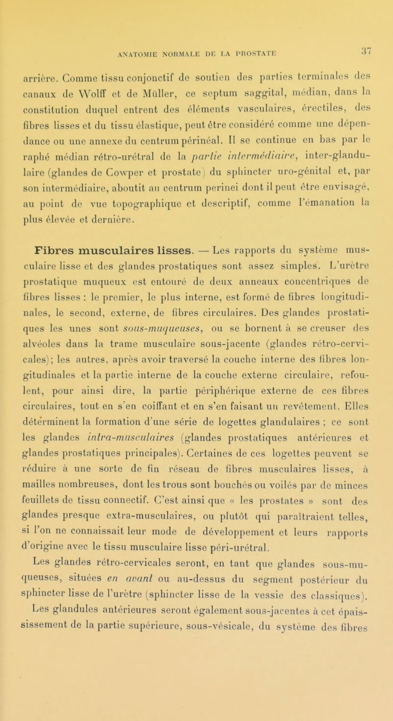 arrière. Comme tissu conjonctif de soutien des parties terminales des canaux de Wolff et de Mûller, ce septum saggital, médian, dans la constitution duquel entrent des éléments vasculaires, érectiles, des fibres lisses et du tissu élastique, peut être considéré comme une dépen- dance ou une annexe du centrum périnéal. Il se continue en bas par le raphé médian rétro-urétral de la partie inlcrmédiaire, inter-glandu- laire (glandes de Cowper et prostate ) du sphincter uro-génital et, par son intermédiaire, aboutit au centrum perinei dont il peut être envisagé, au point de vue topographique et descriptif, comme l'émanation la plus élevée et dernière. Fibres musculaires lisses. — Les rapports du système mus- culaire lisse et dos glandes prostatiques sont assez simples. L'urètre prostatique muqueux est entouré de deux anneaux concentriques de fibres lisses : le premier, le plus interne, est formé de fibres longitudi- nales, le second, externe, de fibres circulaires. Des glandes prostati- ques les unes sont sous-muqueuses, ou se bornent à se creuser des alvéoles dans la trame musculaire sous-jacente (glandes rétro-cervi- cales); les autres, après avoir traversé la couche interne des libres lon- gitudinales et la partie interne de la couche externe circulaire, refou- lent, pour ainsi dire, la partie périphérique externe de ces fibres circulaires, tout en s'en coiffant et en s'en faisant un revêtement. Elles déterminent la Formation d'une série de logettes glandulaires ; ce sont les glandes inlra-musculaires (glandes prostatiques antérieures et glandes prostatiques principales). Certaines de ces logettes peuvent se réduire à une sorte de fin réseau de fibres musculaires lisses, à mailles nombreuses, dont les trous sont bouchés ou voilés par de minces feuillets de tissu conncctif. C'est ainsi que « les prostates » sont des glandes presque extra-musculaires, ou plutôt qui paraîtraient telles, si l'on ne connaissait leur mode de développement et leurs rapports d'origine avec le tissu musculaire lisse péri-urétral. Les glandes rétro-cervicales seront, en tant que glandes sous-mu- queuses, situées en avant ou au-dessus du segment postérieur du sphincter lisse de l'urètre (sphincter lisse de la vessie des classiques). Les glandules antérieures seront également sous-jacentes à cet épais- sissement de la partie supérieure, sous-vésicale, du système des fibres