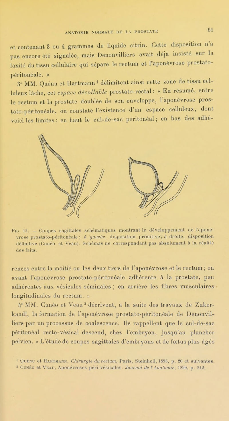 et contenant 3 ou Zi grammes de liquide citrin. Cette disposition n'a pas encore été signalée, mais DenonviUiers avait déjà insisté sur la laxité du tissu cellulaire qui sépare le rectum et l'aponévrose prostato- péritonéale. » 3° MM. Quénu et Hartmann i délimitent ainsi cette zone de tissu cel- luleux lâche, cet espace décollahle prostato-rectal : « En résumé, entre le rectum et la prostate doublée de son enveloppe, l'aponévrose pros- tato-péritonéale, on constate l'existence d'un espace celluleux, dont voici les limites : en haut le cul-de-sac péritonéal ; en bas des adlié- FiG. 12. — Coupes sagittales schématiques montrant le développement de l'aponé- vrose prostalo-péritonéale ; à gauche, disposition primitive ; à droite, disposition définitive (Cunéo et Veau). Schémas ne correspondant pas absolument à la réalité des faits. rences entre la moitié ou les deux tiers de l'aponévrose et le rectum; en avant l'aponévrose prostuto-péritonéale adhérente à la prostate, peu adhérentes aux vésicules séminales ; en arrière les fibres musculaires longitudinales du rectum. » /(''MM. Cunéo et Veau - décrivent, à la suite des travaux de Zuker- kandl, la formation de l'aponévrose prostato-péritonéale de Denonvil- liers par un processus de coalescence. Ils rappellent que le cul-de-sac péritonéal recto-vésical descend, chez l'embryon, jusqu'au plancher pelvien. « L'étude de coupes sagittales d'embryons et de fœtus plus âgés ' Quénu et Hartmann, Chirurgie du rectum, Paris, Steinheil, 1895, p. 20 et suivantes. 2 Cunéo et Veau, Aponévroses péri-vésicales. Journal de l'Analomie, 1899, p. 2i2.