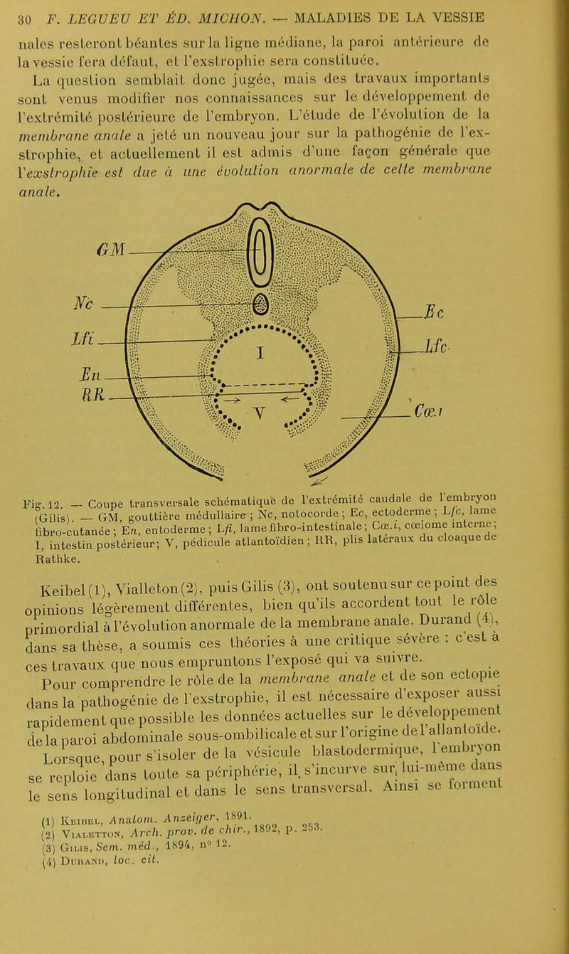 nalcs resteront béantes sur la ligne médiane, la paroi antérieure de la vessie fera défaut, et l'exstrophie sera constituée. La question semblait donc jugée, mais des travaux importants sont venus modifier nos connaissances sur le développement de lexlrémité postérieure de l'embryon. L'étude de l'évolution de la membrane anale a jeté un nouveau jour sur la patliogénie de l'ex- strophie, et actuellement il est admis d'une façon générale que Yexslrophie est due à une évolution anormale de cette membrane anale. Fiff 10 _ Coupe transversale schématique de l'extrémité caudale de l'embryon ÎGUis) — GM gouttière médullaire ; Ne, notocorde; Ec, ectoderme ; L/c lame flbro-cutanée-. En, entoderme; Lfi. lame fibro-intestinale ; Cœ.i, cœ ome mterne; I intestin postérieur; V, pédicule atlantoïdien ; RR, phs latéraux du cloaque de Rathke. Keibel(l), Vialleton(2), puisGilis (3), ont soutenusur cepoint des opinions légèrement différentes, bien qu'ils accordent tout le rôle primordial à l'évolution anormale de la membrane anale. Durand (4), dans sa thèse, a soumis ces théories à une critique sévère : c est a ces travaux que nous empruntons l'exposé qui va suivre. Pour comprendre le rôle de la membrane anale et de son ectopie dans la pathogénie de l'exstrophie, il est nécessaire d'exposer aussi rapidement que possible les données actuelles sur le v«loppemeiU de la paroi abdominale sous-ombilicale et sur l'ongme de 1 allan oïde. Lorsque pour s'isoler de la vésicule blastodermique, 1 embryon se reploie dans toute sa périphérie, U. s'mcurve sur, l-^-f ^ans le sens longitudinal et dans le sens transversal. Ainsi .e ioimuit (1) Keidel, Anulom. Anzeir^er, 1891. /V) V.ALETTON, Arch.prov. de c/ur., 1802, p. 253. (3) Gius,Sem. méd., 1894, n 12. [i] DUHAND, lOC. cil.