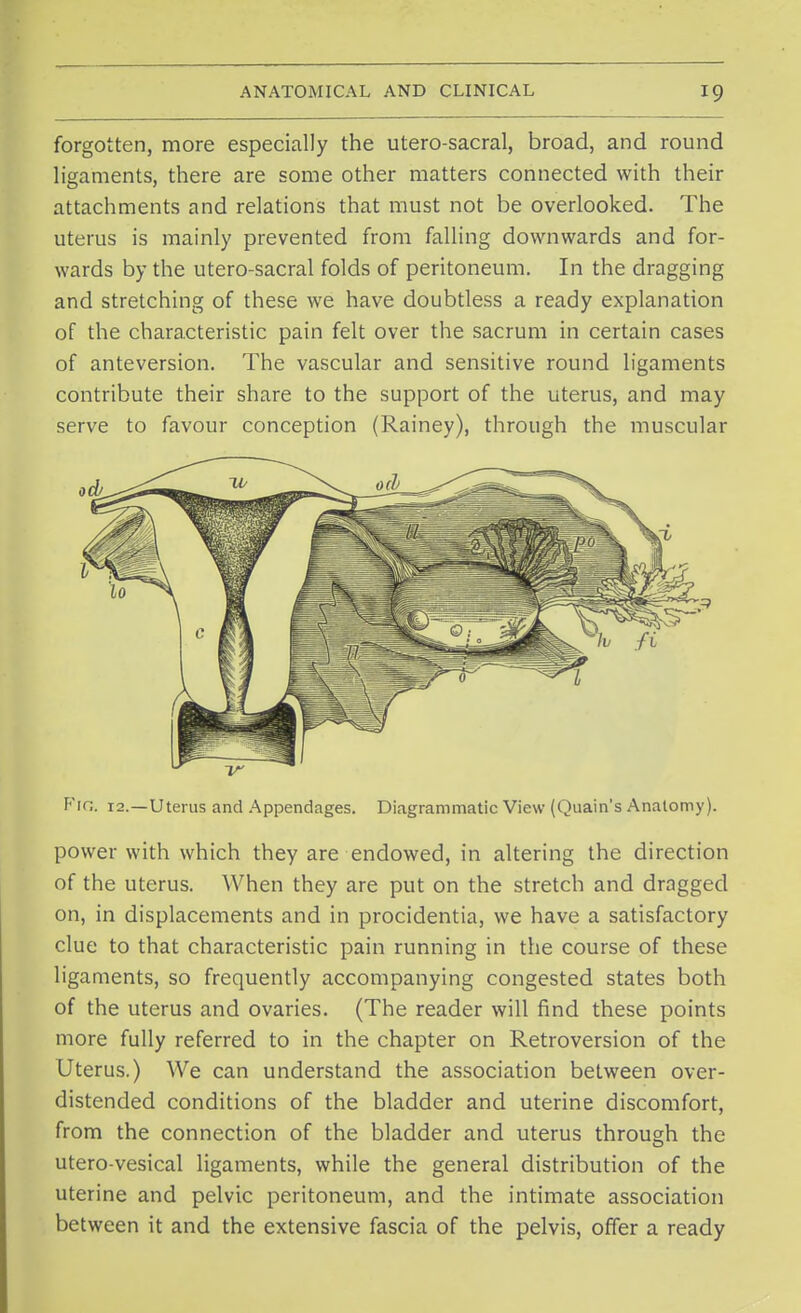 forgotten, more especially the utero-sacral, broad, and round ligaments, there are some other matters connected with their attachments and relations that must not be overlooked. The uterus is mainly prevented from falling downwards and for- wards by the utero-sacral folds of peritoneum. In the dragging and stretching of these we have doubtless a ready explanation of the characteristic pain felt over the sacrum in certain cases of anteversion. The vascular and sensitive round ligaments contribute their share to the support of the uterus, and may serve to favour conception (Rainey), through the muscular Fin. 12.—Uterus and Appendages. Diagrammatic View (Quain's Anatomy). power with which they are endowed, in altering the direction of the uterus. When they are put on the stretch and dragged on, in displacements and in procidentia, we have a satisfactory clue to that characteristic pain running in the course of these ligaments, so frequently accompanying congested states both of the uterus and ovaries. (The reader will find these points more fully referred to in the chapter on Retroversion of the Uterus.) We can understand the association between over- distended conditions of the bladder and uterine discomfort, from the connection of the bladder and uterus through the utero-vesical ligaments, while the general distribution of the uterine and pelvic peritoneum, and the intimate association between it and the extensive fascia of the pelvis, offer a ready