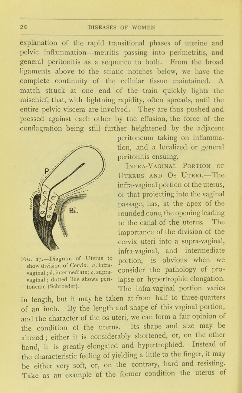 explanation of the rapid transitional phases of uterine and pelvic inflammation—metritis passing into perimetritis, and general peritonitis as a sequence to both. From the broad ligaments above to the sciatic notches below, we have the complete continuity of the cellular tissue maintained. A match struck at one end of the train quickly lights the mischief, that, with lightning rapidity, often spreads, until the entire pelvic viscera are involved. They are thus pushed and pressed against each other by the effusion, the force of the conflagration being still further heightened by the adjacent peritoneum taking on inflamma- tion, and a localized or general peritonitis ensuing. Infra-Vaginal Portion of Uterus and Os Uteri.—The infra-vaginal portion of the uterus, or that projecting into the vaginal passage, has, at the apex of the rounded cone, the opening leading to the canal of the uterus. The importance of the division of the cervix uteri into a supra-vaginal, infra-vaginal, and intermediate portion, is obvious when we consider the pathology of pro- lapse or hypertrophic elongation. The infra-vaginal portion varies in length, but it may be taken at from half to three-quarters of an inch. By the length and shape of this vaginal portion, and the character of the os uteri, we can form a fair opinion of the condition of the uterus. Its shape and size may be altered; either it is considerably shortened, or, on the other hand, it is greatly elongated and hypertrophied. Instead of the characteristic feeling of yielding a little to the finger, it may be either very soft, or, on the contrary, hard and resisting. Take as an example of the former condition the uterus of Fig. 13.—Diagram of Uterus to show division of Cervix. <7, infra- vaginal ; intermediate; c, supra- vaginal ; dotted line shows peri- toneum (Schroeder).