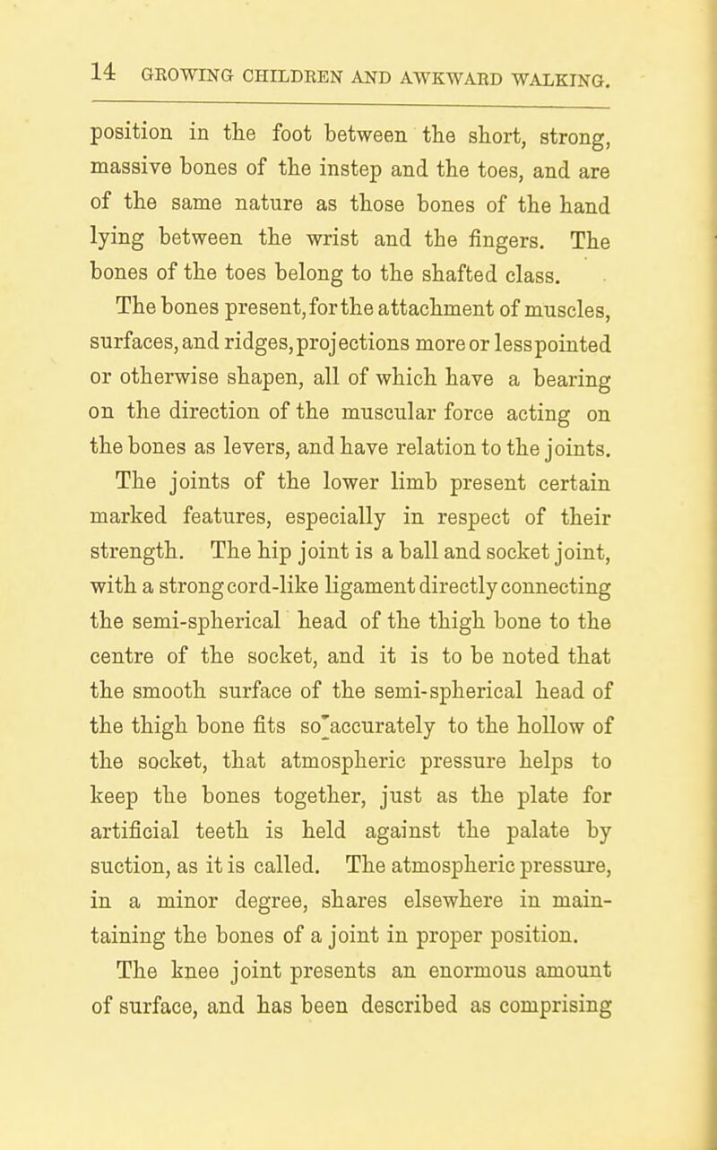 position in the foot between the short, strong, massive bones of the instep and the toes, and are of the same nature as those bones of the hand lying between the wrist and the fingers. The bones of the toes belong to the shafted class. The bones present,forthe attachment of muscles, surfaces, and ridges, projections more or less pointed or otherwise shapen, all of which have a bearing on the direction of the muscular force acting on the bones as levers, and have relation to the joints. The joints of the lower limb present certain marked features, especially in respect of their strength. The hip joint is a ball and socket joint, with a strong cord-like ligament directly connecting the semi-spherical head of the thigh bone to the centre of the socket, and it is to be noted that the smooth surface of the semi-spherical head of the thigh bone fits so'accurately to the hollow of the socket, that atmospheric pressure helps to keep the bones together, just as the plate for artificial teeth is held against the palate by suction, as it is called. The atmospheric pressure, in a minor degree, shares elsewhere in main- taining the bones of a joint in proper position. The knee joint presents an enormous amount of surface, and has been described as comprising