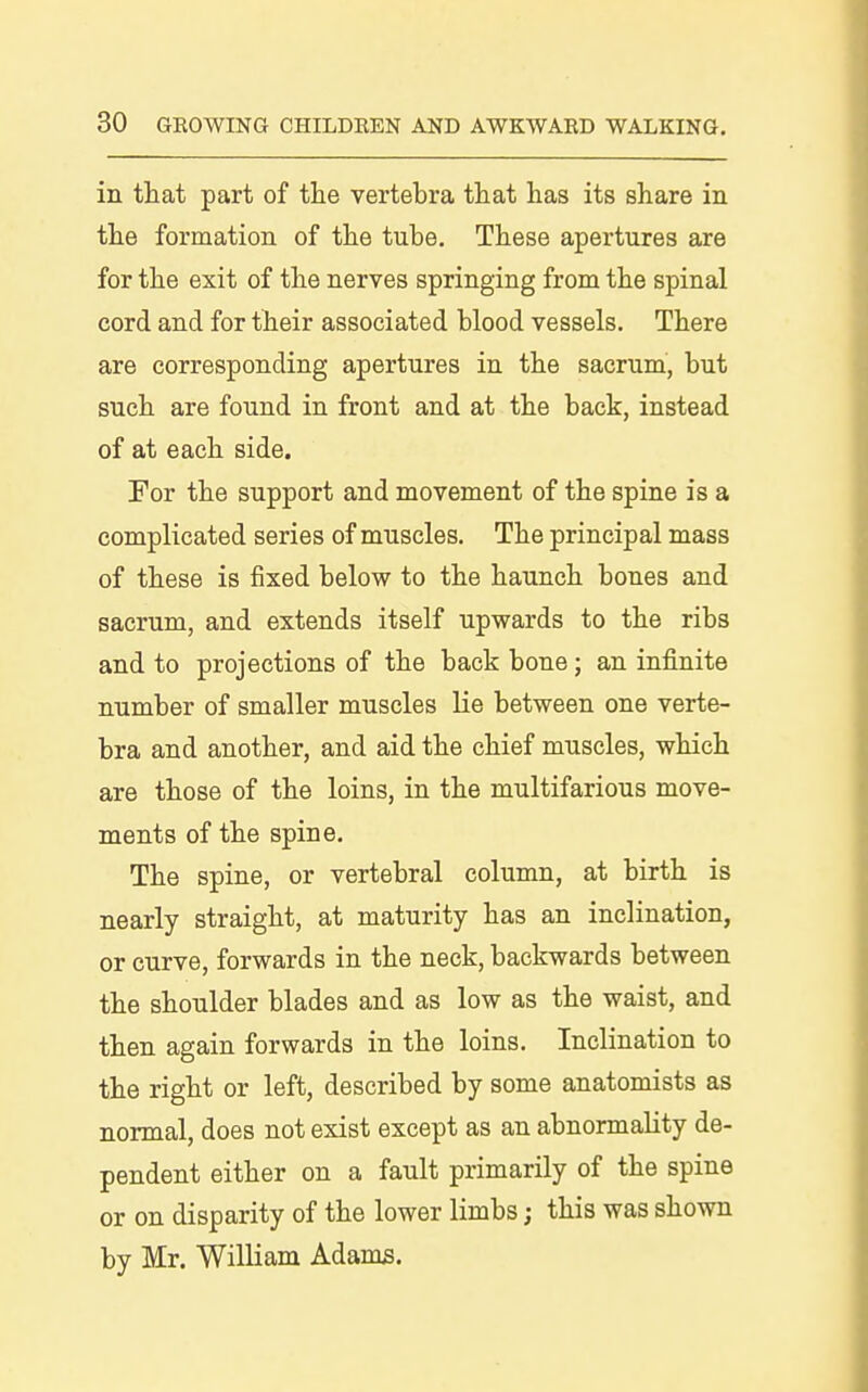 in that part of tlie vertebra that has its share in the formation of the tube. These apertures are for the exit of the nerves springing from the spinal cord and for their associated blood vessels. There are corresponding apertures in the sacrum, but such are found in front and at the back, instead of at each side. For the support and movement of the spine is a complicated series of muscles. The principal mass of these is fixed below to the haunch bones and sacrum, and extends itself upwards to the ribs and to projections of the back bone; an infinite number of smaller muscles lie between one verte- bra and another, and aid the chief muscles, which are those of the loins, in the multifarious move- ments of the spine. The spine, or vertebral column, at birth is nearly straight, at maturity has an inclination, or curve, forwards in the neck, backwards between the shoulder blades and as low as the waist, and then again forwards in the loins. Inclination to the right or left, described by some anatomists as normal, does not exist except as an abnormality de- pendent either on a fault primarily of the spine or on disparity of the lower limbs; this was shown by Mr. William Adams.