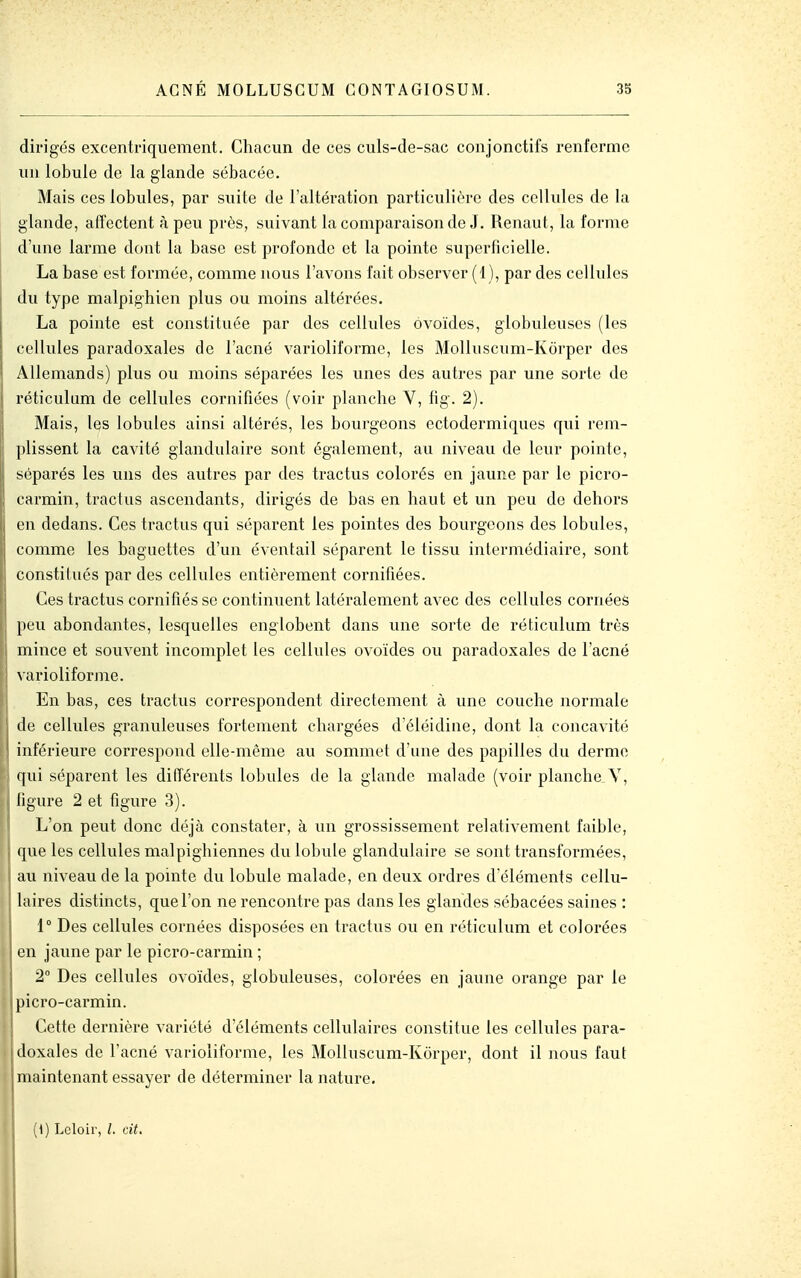 dirigés excentriquement. Chacun de ces culs-de-sac conjonctifs renferme un lobule de la glande sébacée. Mais ces lobules, par suite de l'altération particulière des cellules de la glande, affectent à peu près, suivant la comparaison de J. Renaut, la forme d'une larme dont la base est profonde et la pointe superficielle. La base est formée, comme nous l'avons fait observer (1), par des cellules du type malpighien plus ou moins altérées. La pointe est constituée par des cellules ovoïdes, globuleuses (les cellules paradoxales de l'acné varioliforme, les Molluscum-Korper des Allemands) plus ou moins séparées les unes des autres par une sorte de réticulum de cellules cornifiées (voir planche V, fig. 2). Mais, les lobules ainsi altérés, les bourgeons ectodermiques qui rem- plissent la cavité glandulaire sont également, au niveau de leur pointe, séparés les uns des autres par des tractus colorés en jaune par le picro- carmin, tractus ascendants, dirigés de bas en haut et un peu de dehors en dedans. Ces tractus qui séparent les pointes des bourgeons des lobules, comme les baguettes d'un éventail séparent le tissu intermédiaire, sont constitués par des cellules entièrement cornifiées. Ces tractus cornifiés se continuent latéralement avec des cellules cornées peu abondantes, lesquelles englobent dans une sorte de réticulum très mince et souvent incomplet les cellules ovoïdes ou paradoxales de l'acné varioliforme. En bas, ces tractus correspondent directement à une couche normale de cellules granuleuses fortement chargées d'éléidine, dont la concavité inférieure correspond elle-même au sommet d'une des papilles du derme qui séparent les différents lobules de la glande malade (voir planche^Y, figure 2 et figure 3). L'on peut donc déjà constater, à un grossissement relativement faible, que les cellules malpighiennes du lobule glandulaire se sont transformées, au niveau de la pointe du lobule malade, en deux ordres d'éléments cellu- laires distincts, que l'on ne rencontre pas dans les glandes sébacées saines : 1° Des cellules cornées disposées en tractus ou en réticulum et colorées en jaune par le picro-carmin ; 2° Des cellules ovoïdes, globuleuses, colorées en jaune orange par le picro-carmin. Cette dernière variété d'éléments cellulaires constitue les cellules para- doxales de l'acné varioliforme, les Molluscum-Korper, dont il nous faut maintenant essayer de déterminer la nature. {\) Lcloir, /. cit.