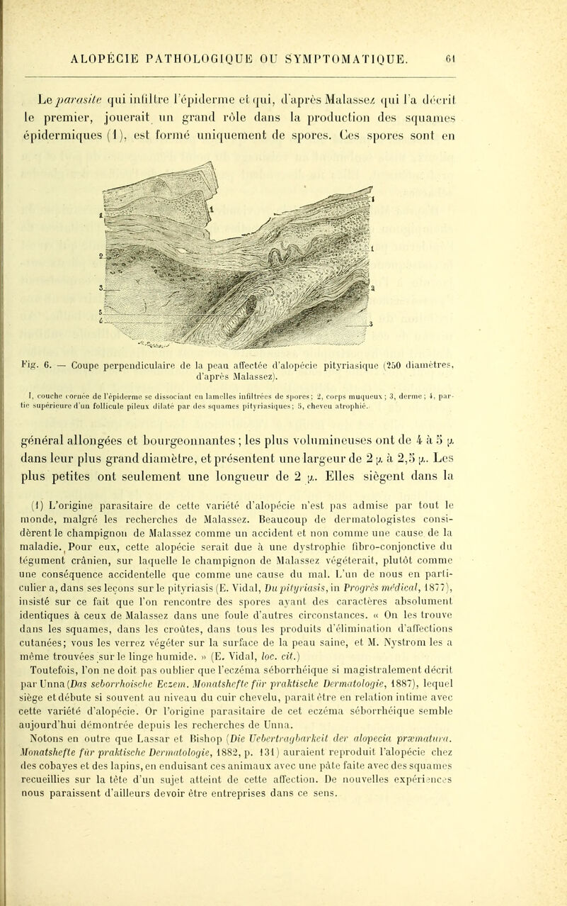 ho, par uni te qui infiltre l'épiderme et qui, d'après Malasse;î qui la d(;crit le premier, jouerait un grand rôle dans la production des squames épidermiques (1), est l'orjné uniquement de spores. Ces spores sont en 3__ Fig. 6. — Coupe perpendiculaire de la peau affectée d'alopécie pityriasique (250 diamètres, d'après Malassez). I, couche cornée de l'épiderme se dissociant en lamelles infiltrées de spores; 2, corps muqueux ; 3, derme ; 4, par- tic supérieure d'un follicule pileux dilaté par des squames pityriasiques ; 5, cheveu atrophié. général allongées et bourgeonnantes ; les plus volumineuses ont de 4 à 5 [j. dans leur plus grand diamètre, et présentent une largeur de 2 \). à 2,S [j.. Les plus petites ont seulement une longueur de 2 Elles siègent dans la (1) L'origine parasitaire de cette variété d'alopécie n'est pas admise par tout le monde, malgré les recherches de Malassez. Beaucoup de dermatologistes consi- dèrent le champignon de Malassez comme un accident et non comme une cause de la maladie. ^ Pour eux, cette alopécie serait due à une dystrophie fibro-conjonctive du tégument crânien, sur laquelle le champignon de Malassez végéterait, plutôt comme une conséquence accidentelle que comme une cause du mal. L'un de nous en parti- culier a, dans ses leçons sur le pityriasis (E. Vidal, Buintynasis, in Progrès médiml, 1877), insisté sur ce fait que l'on rencontre des spores ayant des caractères absolument identiques à ceux de Malassez dans une foule d'autres circonstances. « On les trouve dans les squames, dans les croûtes, dans tous les produits d'élimination d'affections cutanées; vous les verrez végéter sur la surface de la peau saine, et M. Nystrom les a même trouvées ^sur le linge iiumide. » (E. Vidal, loc. cit.) Toutefois, Ton ne doit pas oublier que l'eczéma séborrhéique si magistralement décrit parUnna(Das seborrhoùche Eczem. Monatshefte filr jpraktische Dermatologie, 1887), lequel siège et débute si souvent au niveau du cuir chevelu, paraît être en relation intime avec cette variété d'alopécie. Or l'origine parasitaire de cet eczéma séborrhéique semble aujourd'hui démontrée depuis les recherches de Unna. Notons en outre que Lassar et Bishop {Die Uebertragbarkeit der alopecia prxmatiira. Monatshefte fûr praktische Dermatologie, 1882, p. 131) auraient reproduit l'alopécie chez des cobayes et des lapins, en enduisant ces animaux avec une pâte faite avec des squames recueillies sur la tète d'un sujet atteint de cette affection. De nouvelles expériences nous paraissent d'ailleurs devoir être entreprises dans ce sens.