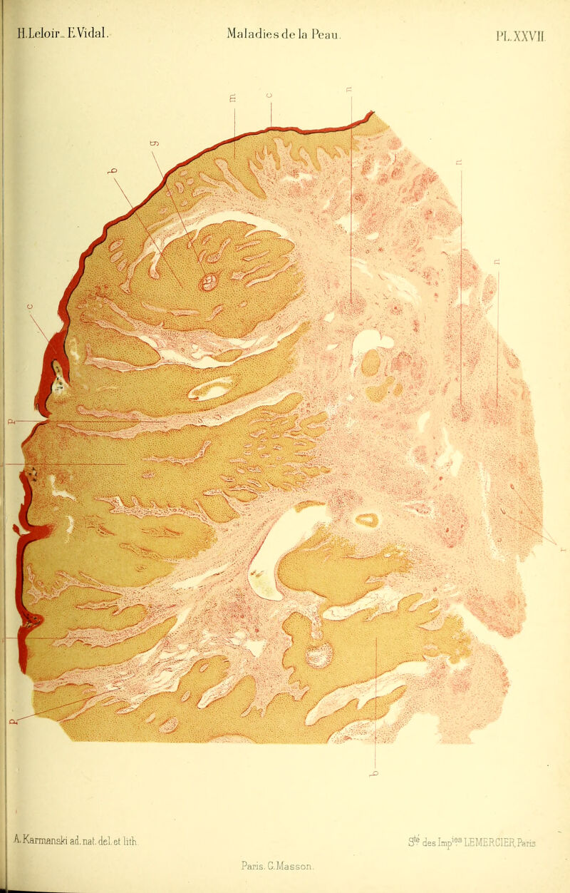 PL. XX VU. V-i.,',. 3^? des Jmp's^LEMERCIER. Paris