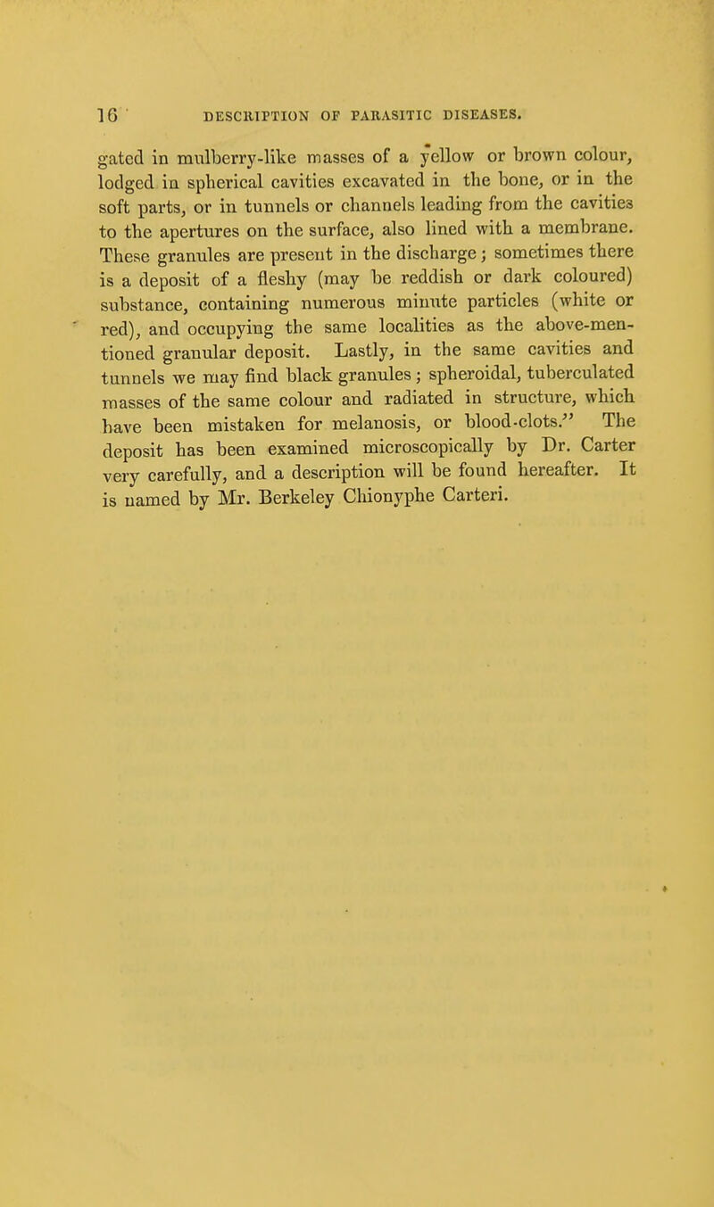 gated in mulberry-like masses of a yellow or brown colour, lodged in spherical cavities excavated in the bone, or in the soft parts, or in tunnels or channels leading from the cavities to the apertures on the surface, also lined with a membrane. These granules are present in the discharge; sometimes there is a deposit of a flesby (may be reddish or dark coloured) substance, containing numerous minute particles (white or red), and occupying the same localities as the above-men- tioned granular deposit. Lastly, in the same cavities and tunnels we may find black granules; spheroidal, tuberculated masses of the same colour and radiated in structure, which have been mistaken for melanosis, or blood-clots. The deposit has been examined microscopically by Dr. Carter very carefully, and a description will be found hereafter. It is named by Mr. Berkeley Chionyphe Carteri.