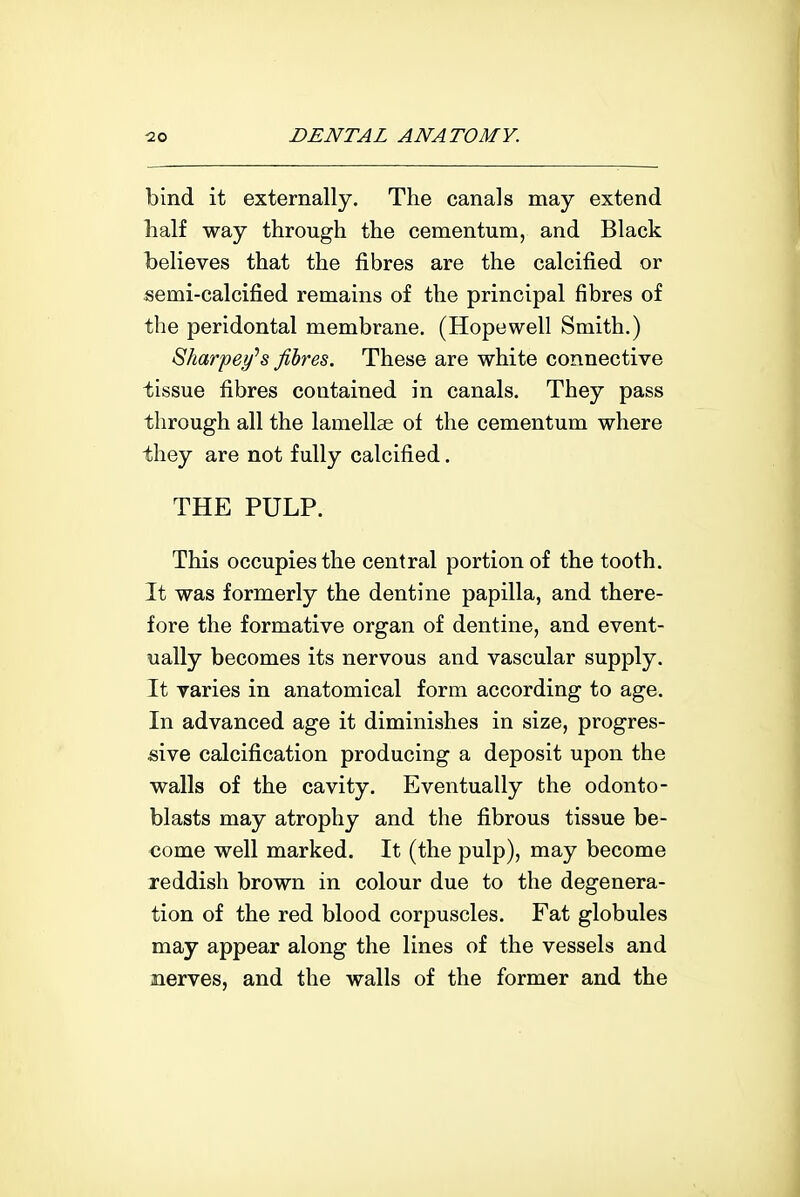 bind it externally. The canals may extend half way through the cementum, and Black believes that the fibres are the calcified or semi-calcified remains of the principal fibres of the peridontal membrane. (Hopewell Smith.) Sharpei/s fibres. These are white connective tissue fibres contained in canals. They pass through all the lamellse of the cementum where they are not fully calcified. THE PULP. This occupies the central portion of the tooth. It was formerly the dentine papilla, and there- fore the formative organ of dentine, and event- ually becomes its nervous and vascular supply. It varies in anatomical form according to age. In advanced age it diminishes in size, progres- sive calcification producing a deposit upon the walls of the cavity. Eventually the odonto- blasts may atrophy and the fibrous tissue be- come well marked. It (the pulp), may become reddish brown in colour due to the degenera- tion of the red blood corpuscles. Fat globules may appear along the lines of the vessels and nerves, and the walls of the former and the