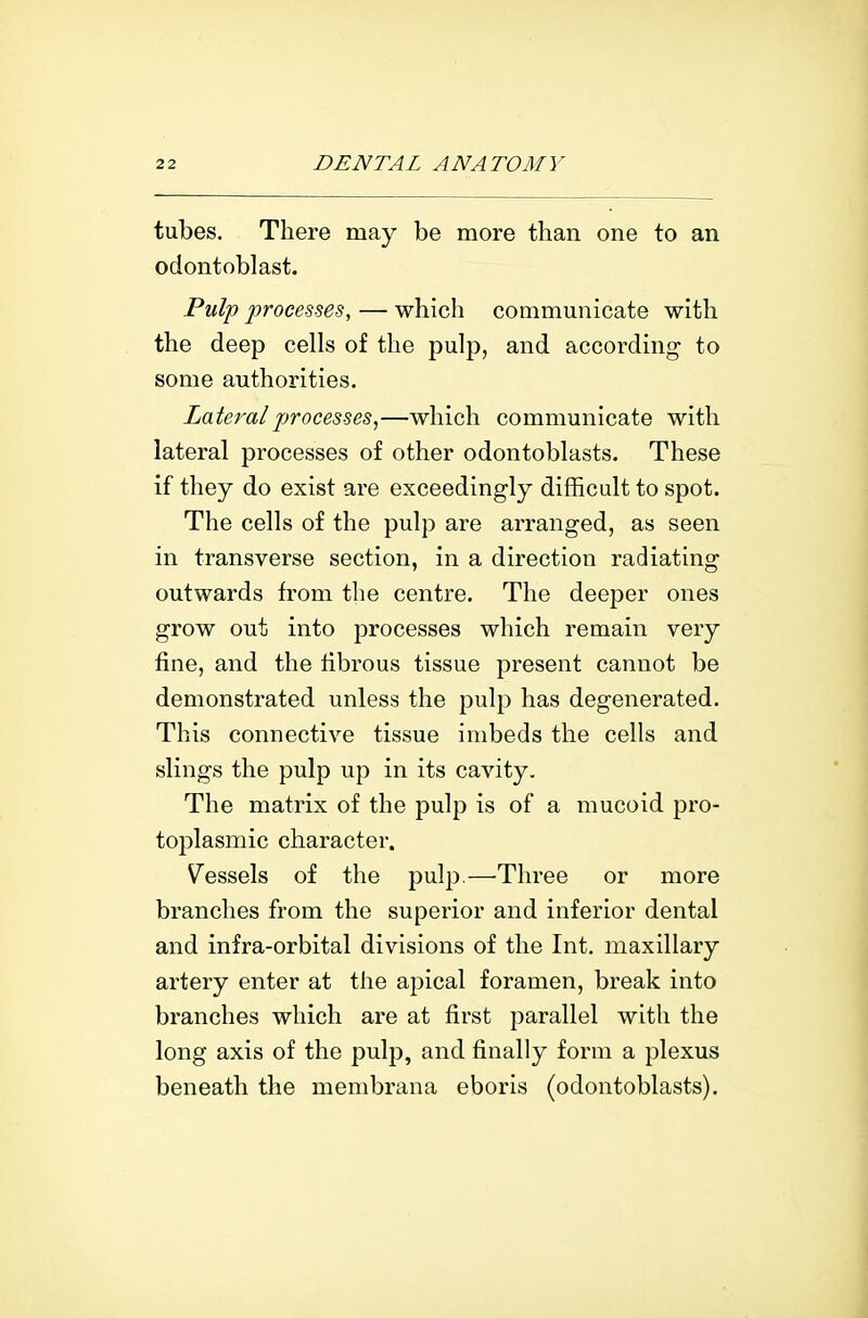 tubes. There may be more than one to an odontoblast. Pulp processes, — which communicate with the deep cells of the pulp, and according to some authorities. Lateral processes,—which communicate with lateral processes of other odontoblasts. These if they do exist are exceedingly difficult to spot. The cells of the pulp are arranged, as seen in transverse section, in a direction radiating outwards from the centre. The deeper ones grow out into processes which remain very fine, and the fibrous tissue present cannot be demonstrated unless the pulp has degenerated. This connective tissue imbeds the cells and slings the pulp up in its cavity. The matrix of the pulp is of a mucoid pro- toi^lasmic character. Vessels of the pulp.—Three or more branches from the superior and inferior dental and infra-orbital divisions of the Int. maxillary artery enter at the apical foramen, break into branches which are at first parallel with the long axis of the pulp, and finally form a plexus beneath the menibrana eboris (odontoblasts).