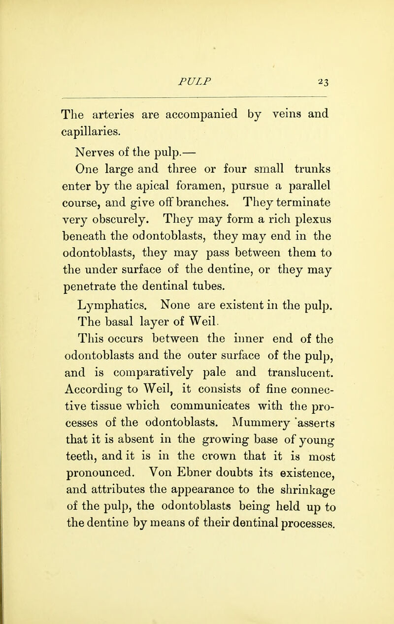 The arteries are accompanied by veins and capillaries. Nerves of the pulp.— One large and three or four small trunks enter by the apical foramen, pursue a parallel course, and give off branches. They terminate very obscurely. They may form a rich plexus beneath the odontoblasts, they may end in the odontoblasts, they may pass between them to the under surface of the dentine, or they may penetrate the dentinal tubes. Lymphatics. None are existent in the pulp. The basal layer of Weil. This occurs between the iimer end of the odontoblasts and the outer surface of the pulp, and is comparatively pale and translucent. According to Weil, it consists of fine connec- tive tissue which communicates with the pro- cesses of the odontoblasts. Mummery 'asserts that it is absent in the growing base of young teeth, and it is in the crown that it is most pronounced. Von Ebner doubts its existence, and attributes the appearance to the shrinkage of the pulp, the odontoblasts being held up to the dentine by means of their dentinal processes.