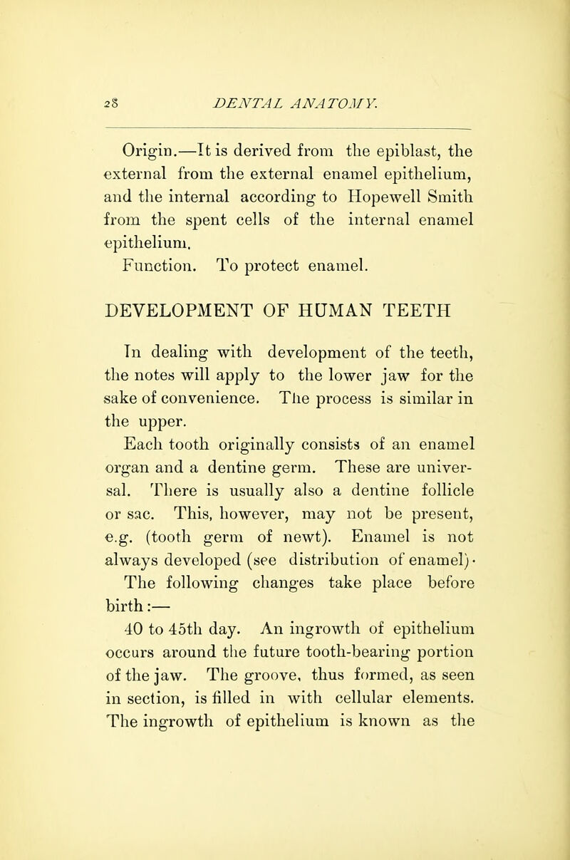 OrigiD.—It is derived from the epiblast, the external from the external enamel epithelium, and the internal according to Hopewell Smith from the spent cells of the internal enamel epithelium. Function. To protect enamel. DEVELOPMENT OF HUMAN TEETH In dealing with development of the teeth, the notes will apply to the lower jaw for the sake of convenience. The process is similar in the upper. Each tooth originally consists of an enamel organ and a dentine germ. These are univer- sal. There is usually also a dentine follicle or sac. This, however, may not be present, e.g. (tooth germ of newt). Enamel is not always developed (see distribution of enamel)- The following changes take place before birth:— 40 to 45th day. An ingrowth of epithelium occurs around the future tooth-bearing portion of the jaw. The groove, thus formed, as seen in section, is filled in with cellular elements. The ingrowth of epithelium is known as tlie