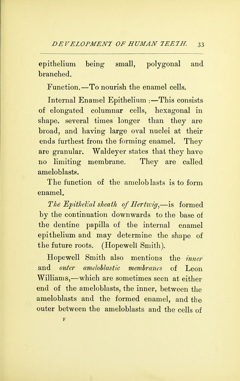 epitbelium being small, polygonal and branched. Function.—To nourish the enamel cells. Internal Enamel Epithelium :—This consists of elongated columnar cells, hexagonal in shape, several times longer than they are broad, and having large oval nuclei at their ends furthest from the forming enamel. They are granular. Waldeyer states that they have no limiting membrane. They are called ameloblasts. The function of the ameloblasts is to form enamel. The Tlpithelial sheath of Hertivig.,—is formed by the continuation downwards to the base of the dentine papilla of the internal enamel epithelium and may determine the shape of the future roots. (Hopewell Smith). Hopewell Smith also mentions the inner and outer amelohJastic membranes of Leon Williams,—which are sometimes seen at either end of the ameloblasts, the inner, between the ameloblasts and the formed enamel, and the outer between the ameloblasts and the cells of