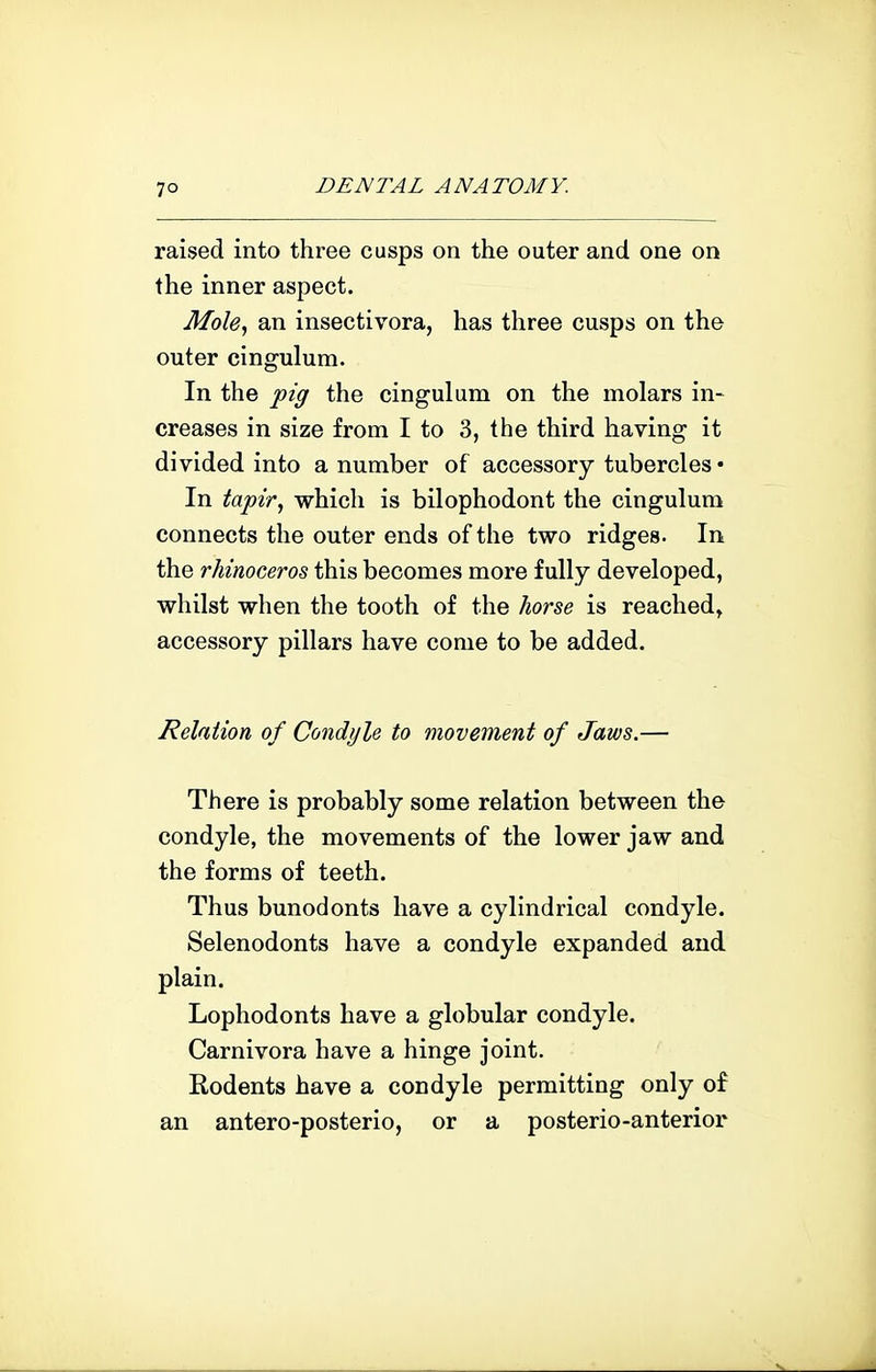 raised into three cusps on the outer and one on the inner aspect. Mole^ an insectivora, has three cusps on the outer cingulum. In the pig the cingulum on the molars in- creases in size from I to 3, the third having it divided into a number of accessory tubercles • In tajpir^ which is bilophodont the cingulum connects the outer ends of the two ridges. In the rhinoceros this becomes more fully developed, whilst when the tooth of the horse is reached, accessory pillars have come to be added. Relation of Condyle to movement of Jaws.— There is probably some relation between the condyle, the movements of the lower jaw and the forms of teeth. Thus bunodonts have a cylindrical condyle. Selenodonts have a condyle expanded and plain. Lophodonts have a globular condyle. Carnivora have a hinge joint. Rodents have a condyle permitting only of an antero-posterio, or a posterio-anterior