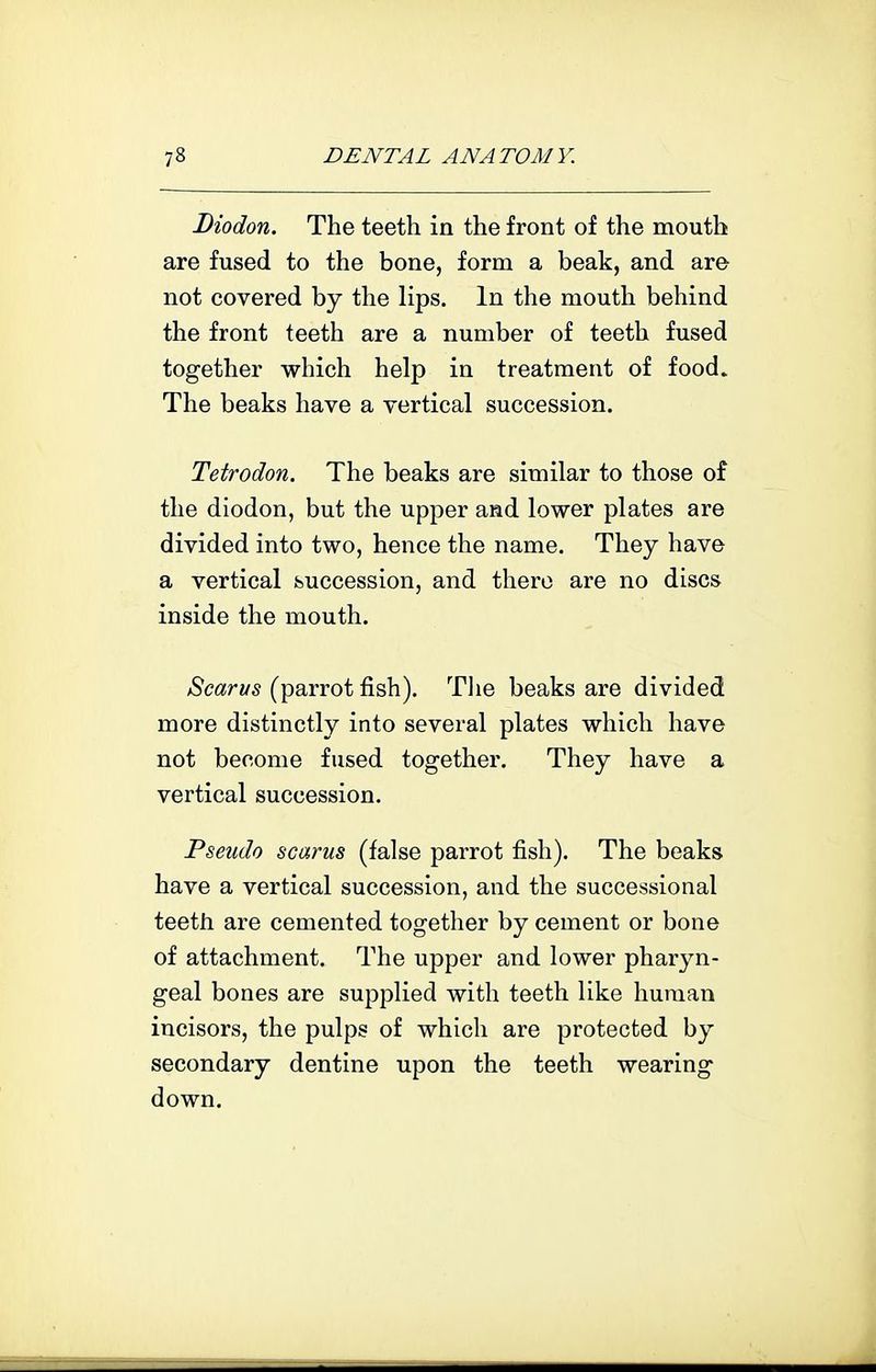 Diodon. The teeth in the front of the mouth are fused to the bone, form a beak, and are not covered by the lips. In the mouth behind the front teeth are a number of teeth fused together which help in treatment of food. The beaks have a vertical succession. Tetrodon. The beaks are similar to those of the diodon, but the upper and lower plates are divided into two, hence the name. They have a vertical huccession, and there are no discs inside the mouth. Scams (parrot fish). Tlie beaks are divided more distinctly into several plates which have not become fused together. They have a vertical succession. Pseudo scarus (false parrot fish). The beaks have a vertical succession, and the successional teeth are cemented together by cement or bone of attachment. The upper and lower pharyn- geal bones are supplied with teeth like human incisors, the pulps of which are protected by secondary dentine upon the teeth wearing down.