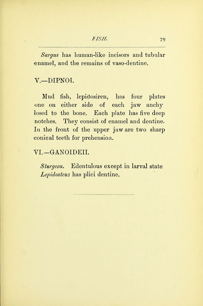 Sargus has human-like incisors and tubular enamel, and the remains of vaso-dentine. v.—DIPNOI. Mud fish, lepidosiren, has four plates one on either side of each jaw anchy losed to the bone. Each plate has five deep notches. They consist of enamel and dentine. In the front of the upper jaw are two sharp €onical teeth for prehension. VI.—GANOIDEII. Sturgeon. Edentulous except in larval state Lepidosteus has plici dentine.