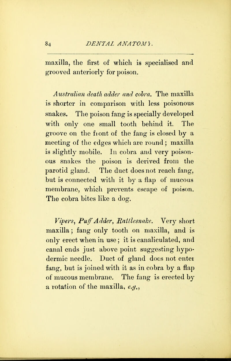 maxilla, the first of wliicli is specialised and grooved anteriorly for poison. Australian death adder and cohra. The maxilla is shorter in comparison with less poisonous snakes. The poison fang is specially developed with only one small tooth behind it. The groove on the fiont of the fang is closed by a meeting of the edges which are round ; maxilla is slightly mobile. In cobra and very poison- ous snakes the poison is derived from the parotid gland. The duct does not reach fang, but is connected witli it by a flap of mucous membrane, which prevents escape of poison. The cobra bites like a dog. Vipers, Puf Adder, Rattlesnake. Ycvy short maxilla; fang only tooth on maxilla, and is only erect when in use; it is canaliculated, and canal ends just above point suggesting hypo- dermic needle. Duct of gland does not enter fang, but is joined with it as in cobra by a flap of mucous membrane. The fang is erected by a rotation of the maxilla, e.y,,