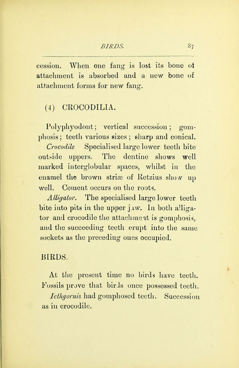 cession. Wiien one fang is lost its bone ot attacbment is absorbed and a new bone of attacbnient forms for new fang. (4) CROCODILIA. Polypbyodont; vertical succession; goni- pliosis; teetli various sizes ; sharp and conical. Crocodile Specialised large lower teetli bite outride uppers. The dentine shows well marked interglobular spaces, whilst in the enamel the brown strife of Retzius shov up well. Cement occurs on the roots. Alligator. The specialised large lower teeth bite into pits in the upper jj,w. In both alliga- tor and crocodile the attachmeit is gomphosis, and the succeeding teeth erupt into tlie same sockets as the preceding ones occupied. BIRDS. At the present time no birds have teeth. Fossils prove that birJs once possessed teeth. Icthjjornis had gomplioscd teeth. Succession as in crocodile.
