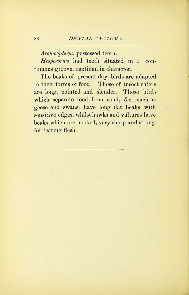 Arcli(Bopierijx jDossessed teetli. Hcspcrornis had teeth situated iu a con- tinuous groove, reptih'an in character. The beaks of present day birds are adapted to their forms of food. Tliose of insect eaters are long, pointed and slender. Those bird> which separate food from sand, &c , sucli as geese and swans, have long flat beaks with sensitive edges, whilst hawks and vultures have beaks which are hooked, very sharp and strong for tearing flesli.