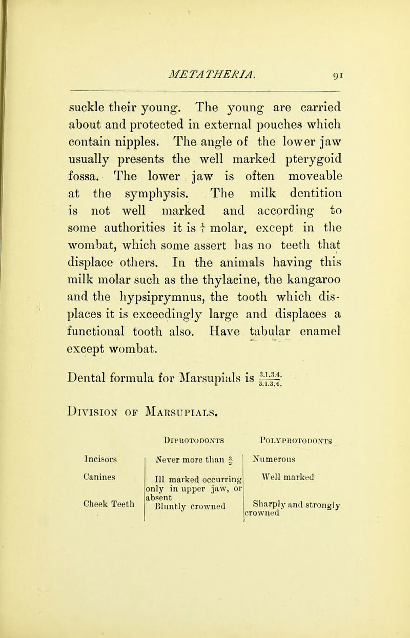 suckle their young. The young are carried about and protected in external pouches which contain nipples. The angle of the lower jaw usually presents the well marked pterygoid fossa. The lower jaw is often moveable at the symphysis. The milk dentition is not well marked and according to some authorities it is t molar, except in the wombat, which some assert has no teeth that displace others. In the animals having this milk molar such as the thylacine, the kangaroo and the hypsiprymnus, the tooth which dis- places it is exceedingly large and displaces a functional tooth also. Have tabular enamel except wombat. Dental formula for Marsupials is Division of Marsupials. Incisors Canines Cheek Teeth DlPllOTODOXTS Never more than J 111 marked occurring only in upper jaw, or absent Bluntly crowned rOIA'PBOTODOXTS Xumerous Well marked Sharply and strongly crowned