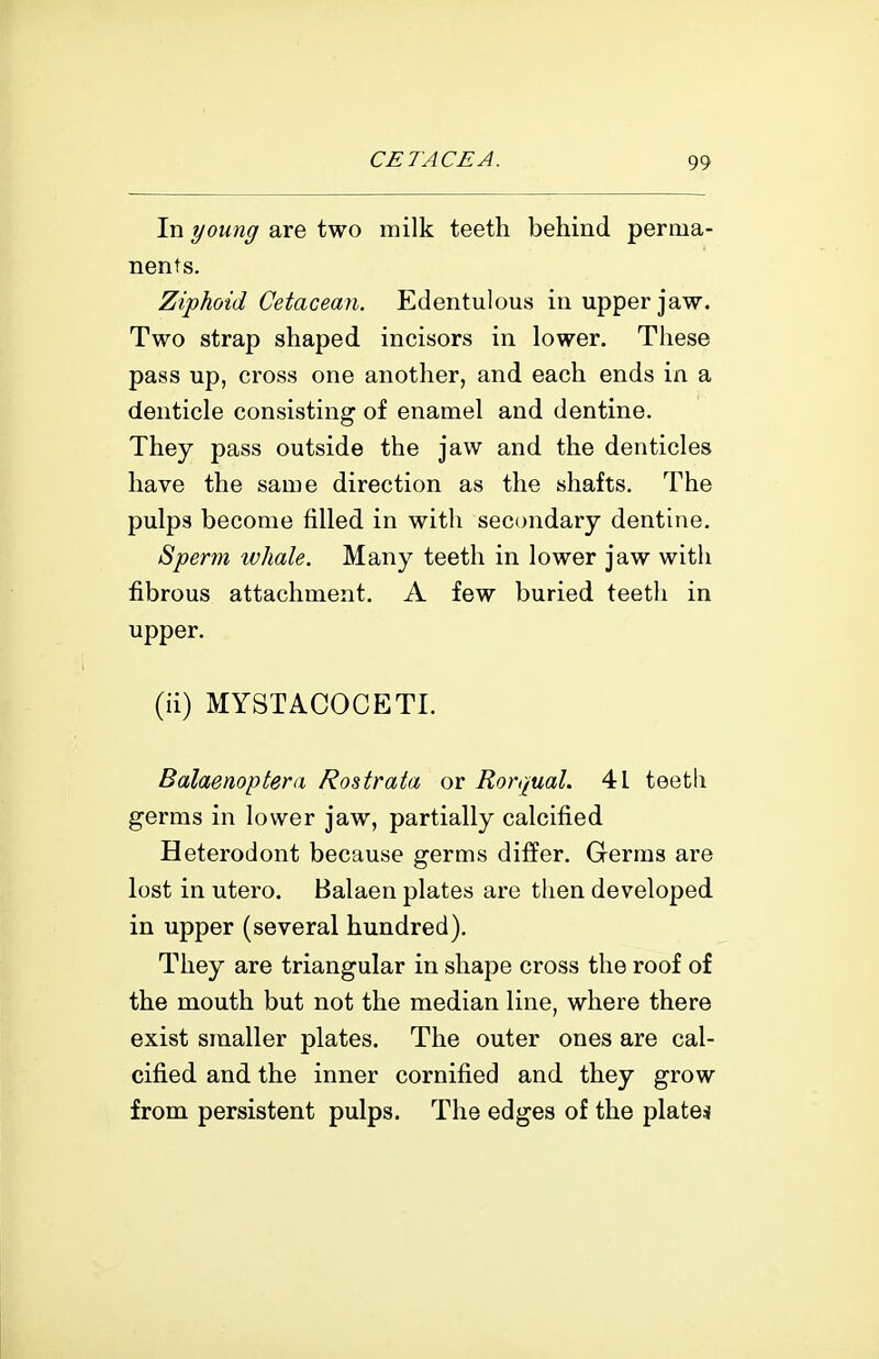 In young are two milk teeth behind perma- nents. Ziphoid Cetacean. Edentulous in upper jaw. Two strap shaped incisors in lower. These pass up, cross one another, and each ends in a denticle consisting of enamel and dentine. They pass outside the jaw and the denticles have the same direction as the shafts. The pulps become filled in with secondary dentine. Sperm whale. Many teeth in lower jaw with fibrous attachment. A few buried teeth in upper. (ii) MYSTACOCETI. Balaenoptera Rostrata or Rorqual. 41 teetli germs in lower jaw, partially calcified Heterodont because germs differ. Germs are lost in utero. Balaen plates are then developed in upper (several hundred). They are triangular in shape cross the roof of the mouth but not the median line, where there exist smaller plates. The outer ones are cal- cified and the inner cornified and they grow from persistent pulps. The edges of the platen
