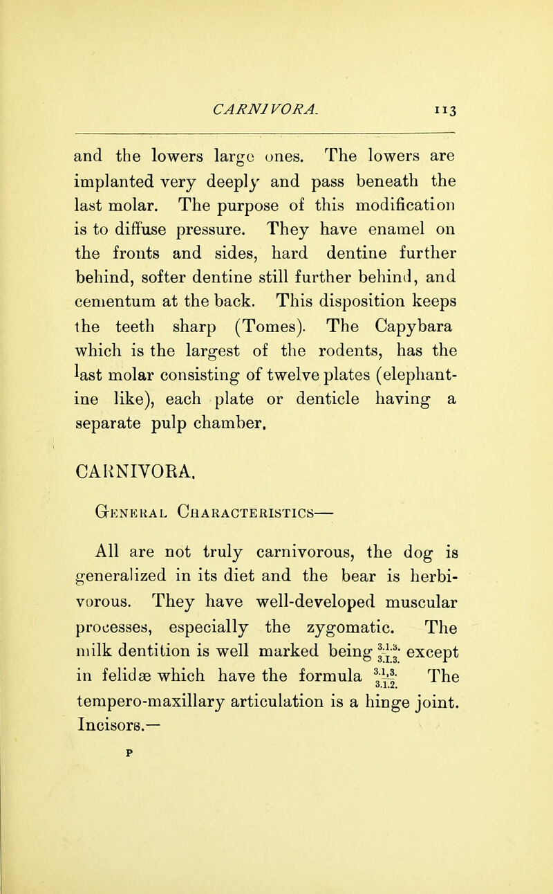 and the lowers largo ones. The lowers are implanted very deeply and pass beneath the last molar. The purpose of this modification is to diffuse pressure. They have enamel on the fronts and sides, hard dentine further behind, softer dentine still further behind, and cementum at the back. This disposition keeps the teeth sharp (Tomes). The Capybara which is the largest of the rodents, has the last molar consisting of twelve plates (elephant- ine like), each plate or denticle having a separate pulp chamber. CARNIVORA. Gknp:kal Characteristics— All are not truly carnivorous, the dog is generalized in its diet and the bear is herbi- vorous. They have well-developed muscular processes, especially the zygomatic. The milk dentition is well marked being 3 J-except in felidse which have the formula ^Vl' The 0.1,2. tempero-maxillary articulation is a hinge joint. Incisors.—