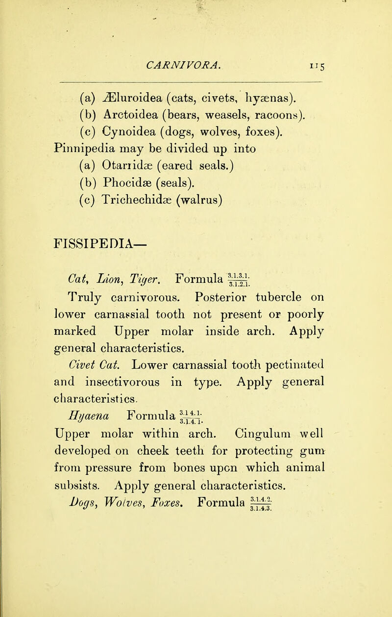 (a) ^luroidea (cats, civets, hyaenas). (b) Arctoidea (bears, weasels, racoons). (c) Cynoidea (dogs, wolves, foxes). Pinnipedia may be divided up into (a) Otarridae (eared seals.) (b) Phocidse (seals). (c) Trichechidse (walrus) FISSIPEDIA— Cat^ Lion^ Tiger. Formula 1^^; Truly carnivorous. Posterior tubercle on lower carnajisial tooth not present of poorly marked Upper molar inside arch. Apply general characteristics. Civet Cat. Lower carnassial tooth pectinated and insectivorous in type. Apply general characteristics. Hyaena Formula g^jH- Upper molar within arch. Cingulum well developed on cheek teeth for protecting gum from pressure from bones upon which animal subsists. Apply general characteristics. Dogs, Waives, Foxes. Formula ^i^-