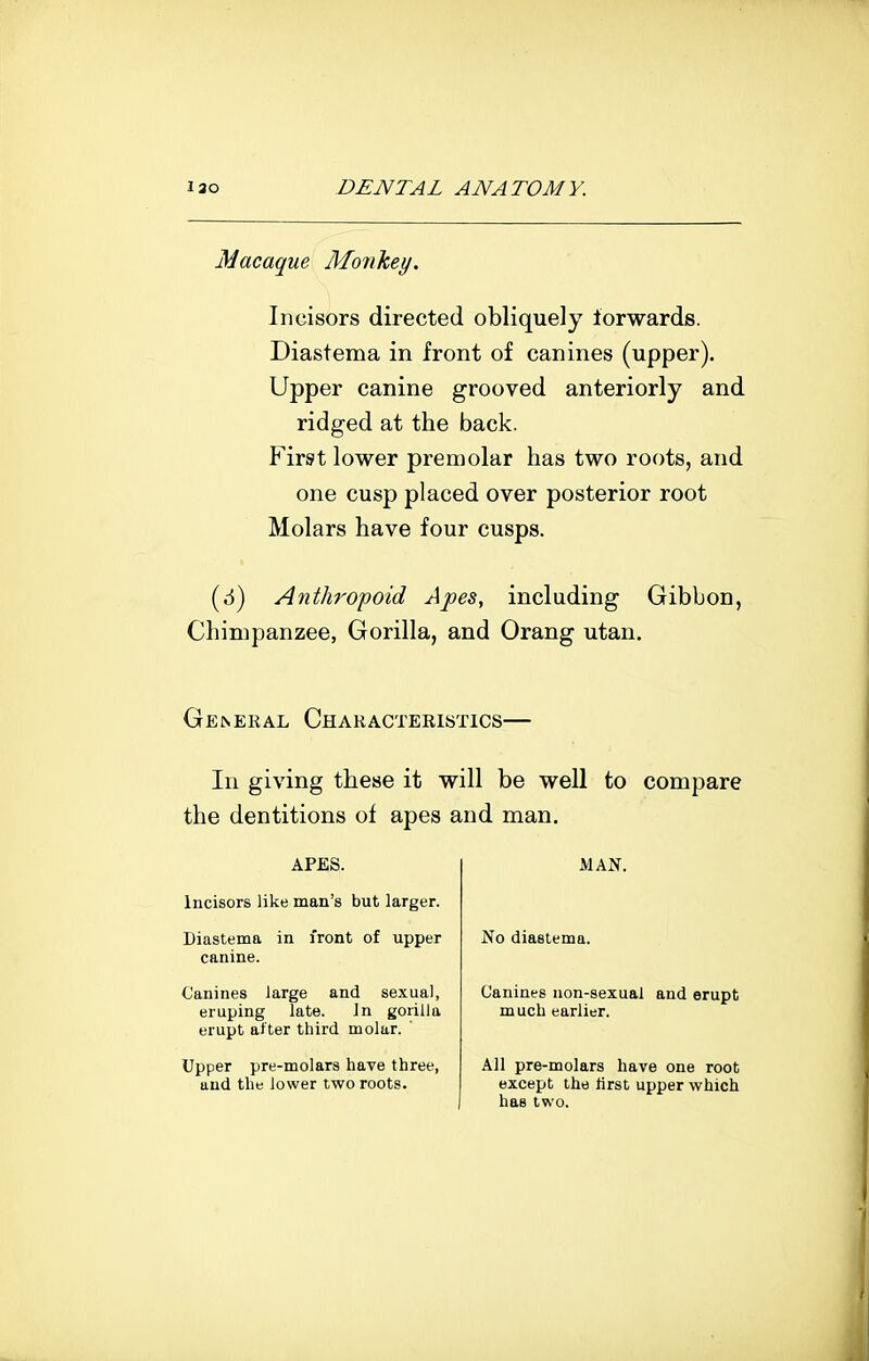 Macaque Monkey. Incisors directed obliquely forwards. Diastema in front of canines (upper). Upper canine grooved anteriorly and ridged at the back. First lower premolar has two roots, and one cusp placed over posterior root Molars have four cusps. (ii) Anthropoid Apes, including Gibbon, Chimpanzee, Gorilla, and Orang utan. General Characteristics— In giving these it will be well to compare the dentitions of apes and man. APES. Incisors like man's but larger. Diastema in front of upper canine. Canines large and sexual, eruping late. Jn gorilla erupt after third molar. ' Upper pre-molars have three, and the lower two roots. MAN. No diastema. Canines non-sexual and erupt much earlier. All pre-molars have one root except the rtrst upper which has two.