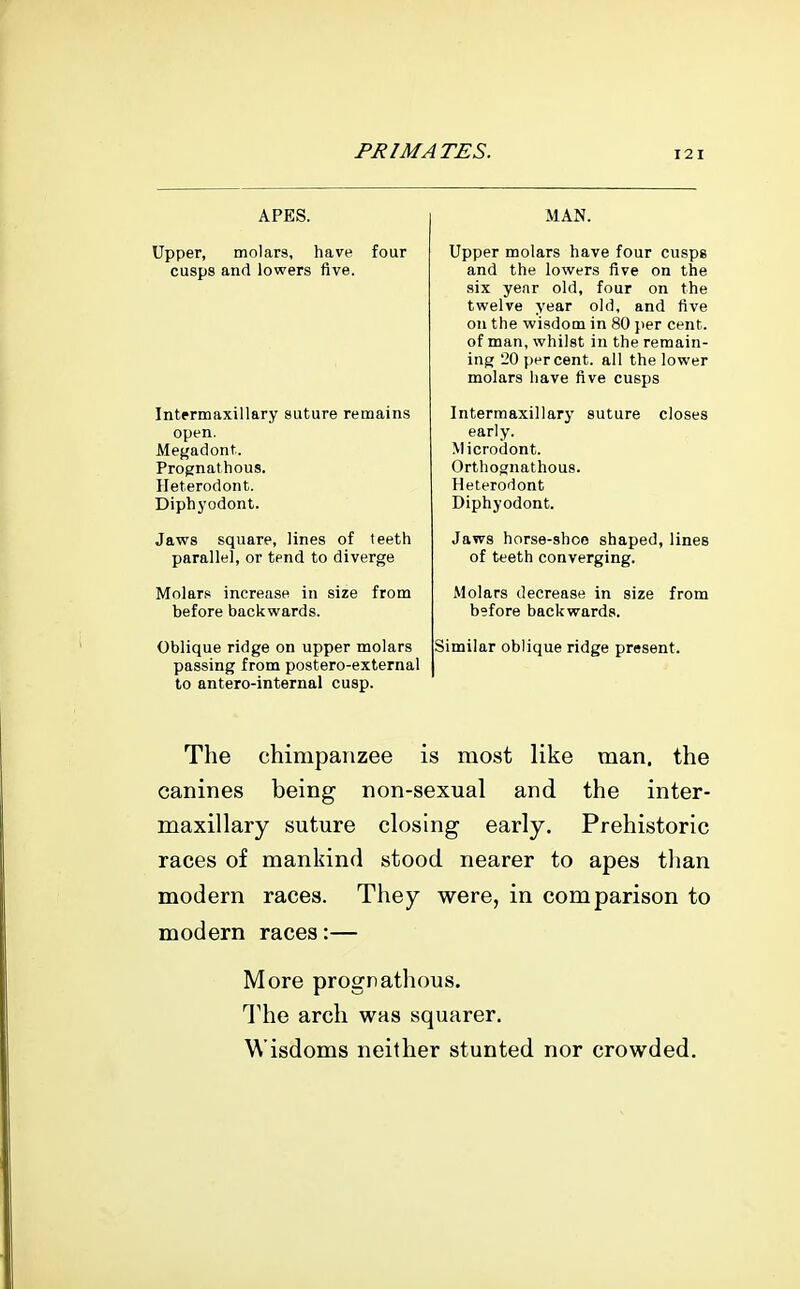 APES. Upper, molars, have four cusps and lowers five. Intermaxillary suture remains open. Megadont. Prognathous. Heterodont. Diphyodont. Jaws square, lines of teeth parallel, or tend to diverge Molar.* increase in size from before backwards. Oblique ridge on upper molars passing from postero-external to antero-internal cusp. MAN. Upper molars have four cusps and the lowers five on the six year old, four on the twelve year old, and five on the wisdom in 80 per cent, of man, whilst in the remain- ing 20 percent, all the lower molars have five cusps Intermaxillary suture closes early. Microdont. Orthognathous. Heterodont Diphyodont. Jaws horse-shoo shaped, lines of teeth converging. Molars decrease in size before backwards. from Similar oblique ridge present. The chimpanzee is most like man. the canines being non-sexual and the inter- maxillary suture closing early. Prehistoric races of mankind stood nearer to apes tlian modern races. They were, in comparison to modern races:— More prognathous. The arch was squarer. Wisdoms neither stunted nor crowded.