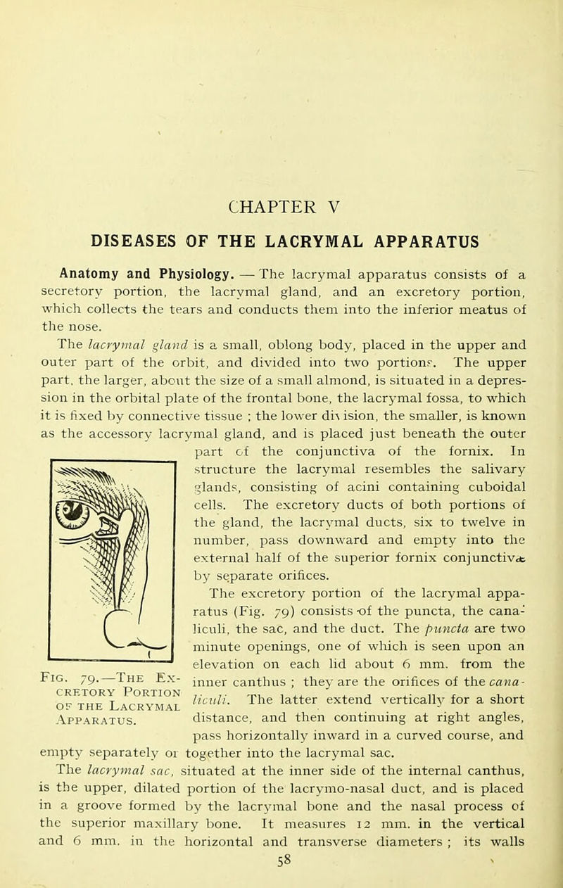 CHAPTER V DISEASES OF THE LACRYMAL APPARATUS Anatomy and Physiology. — The lacrymal apparatus consists of a secretory portion, the lacrymal gland, and an excretory portion, which collects the tears and conducts them into the inferior meatus of the nose. The lacrymal gland is a small, oblong body, placed in the upper and outer part of the orbit, and divided into two portionf. The upper part, the larger, about the size of a small almond, is situated in a depres- sion in the orbital plate of the frontal bone, the lacrymal fossa, to which it is fixed by connective tissue ; the lower di^ ision, the smaller, is known as the accessory lacrymal gland, and is placed just beneath the outer part of the conjunctiva of the fornix. In structure the lacrymal resembles the salivary ','lands, consisting of acini containing cuboidal cells. The excretory ducts of both portions of the gland, the lacrymal ducts, six to twelve in number, pass downward and empty into the external half of the superior fornix conjunctivot by separate orifices. The excretory portion of the lacrymal appa- ratus (Fig. 79) consists -of the puncta, the cana- liculi, the sac, and the duct. The puncta are two minute openings, one of which is seen upon an elevation on each lid about 6 mm. from the inner canthus ; they are the orifices of the cana- liiiilL The latter extend vertically for a short distance, and then continuing at right angles, pass horizontally inward in a curved course, and empty separately or together into the lacrymal sac. The lacrymal sac, situated at the inner side of the internal canthus, is the upper, dilated portion of the lacrymo-nasal duct, and is placed in a groove formed by the lacrymal bone and the nasal process of the superior maxillary bone. It measures 12 mm. in the vertical and 6 mm. in the horizontal and transverse diameters ; its walls 58 Fig. 79.—The Ex- cretory Portion OF THE Lacrymal Apparatus.