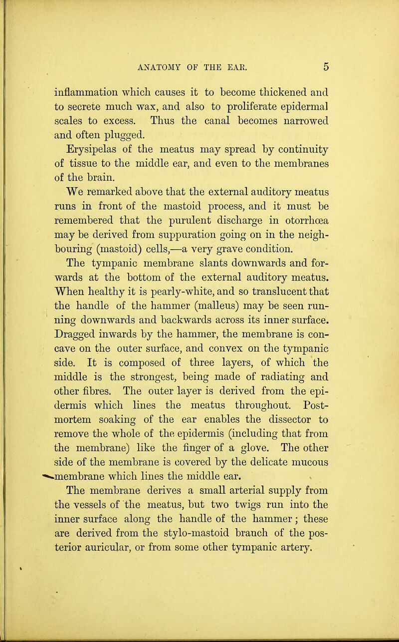 inflammation which causes it to become thickened and to secrete much wax, and also to proliferate epidermal scales to excess. Thus the canal becomes narrowed and often plugged. Erysipelas of the meatus may spread by continuity of tissue to the middle ear, and even to the membranes of the brain. We remarked above that the external auditory meatus runs in front of the mastoid process, and it must be remembered that the purulent discharge in otorrhoea may be derived from suppuration going on in the neigh- bouring (mastoid) cells,—a very grave condition. The tympanic membrane slants downwards and for- wards at the bottom of the external auditory meatus. When healthy it is pearly-white, and so translucent that the handle of the hammer (malleus) may be seen run- ning downwards and backwards across its inner surface. Dragged inwards by the hammer, the membrane is con- cave on the outer surface, and convex on the tympanic side. It is composed of three layers, of which the middle is the strongest, being made of radiating and other fibres. The outer layer is derived from the epi- dermis which lines the meatus throughout. Post- mortem soaking of the ear enables the dissector to remove the whole of the epidermis (including that from the membrane) like the finger of a glove. The other side of the membrane is covered by the delicate mucous ^membrane which lines the middle ear. The membrane derives a small arterial supply from the vessels of the meatus, but two twigs run into the inner surface along the handle of the hammer; these are derived from the stylo-mastoid branch of the pos- terior auricular, or from some other tympanic artery.