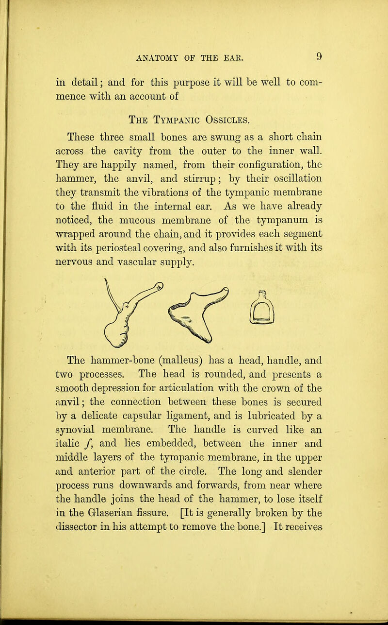 in detail; and for this purpose it will be well to com- mence with an account of The Tympanic Ossicles. These three small bones are swung as a short chain across the cavity from the outer to the inner wall. They are happily named, from their configuration, the hammer, the anvil, and stirrup; by their oscillation they transmit the vibrations of the tympanic membrane to the fluid in the internal ear. As we have already noticed, the mucous membrane of the tympanum is wrapped around the chain, and it provides each segment with its periosteal covering, and also furnishes it with its nervous and vascular supply. The hammer-bone (malleus) has a head, handle, and two processes. The head is rounded, and presents a smooth depression for articulation with the crown of the anvil; the connection between these bones is secured by a delicate capsular ligament, and is lubricated by a synovial membrane. The handle is curved like an italic /, and lies embedded, between the inner and middle layers of the tympanic membrane, in the upper and anterior part of the circle. The long and slender process runs downwards and forwards, from near where the handle joins the head of the hammer, to lose itself in the Glaserian fissure. [It is generally broken by the dissector in his attempt to remove the bone.] It receives