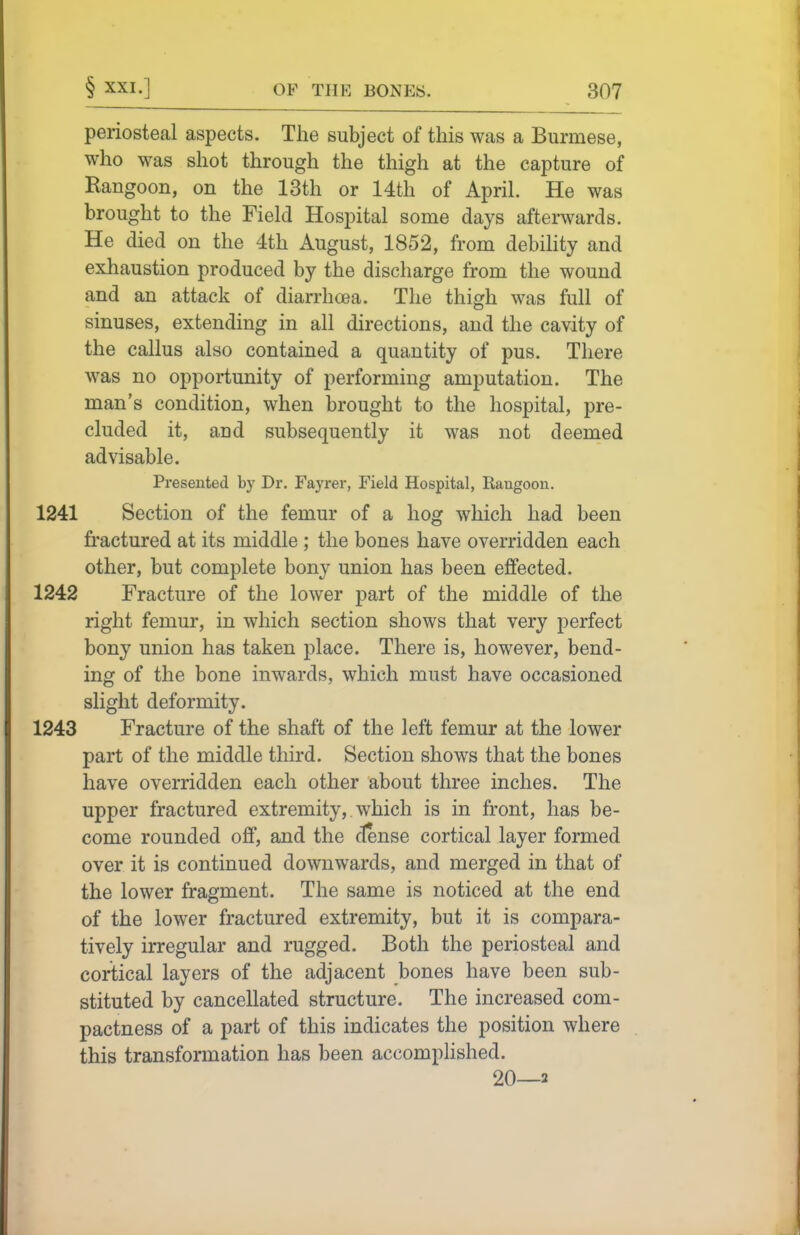 periosteal aspects. The subject of this was a Burmese, who was shot through the thigh at the capture of Rangoon, on the 13th or 14th of April. He was brought to the Field Hospital some days afterwards. He died on the 4th August, 1852, from debility and exhaustion produced by the discharge from the wound and an attack of diarrhoea. The thigh was full of sinuses, extending in all directions, and the cavity of the callus also contained a quantity of pus. There was no opportunity of performing amputation. The man's condition, when brought to the hospital, pre- cluded it, and subsequently it was not deemed advisable. Presented by Dr. Fayrer, Field Hospital, Rangoon. 1241 Section of the femur of a hog which had been fractured at its middle ; the bones have overridden each other, but complete bony union has been effected. 1242 Fracture of the lower part of the middle of the right femur, in which section shows that very perfect bony union has taken place. There is, however, bend- ing of the bone inwards, which must have occasioned slight deformity. 1243 Fracture of the shaft of the left femur at the lower part of the middle third. Section shows that the bones have overridden each other about three inches. The upper fractured extremity, which is in front, has be- come rounded off, and the ctense cortical layer formed over it is continued downwards, and merged in that of the lower fragment. The same is noticed at the end of the lower fractured extremity, but it is compara- tively irregular and rugged. Both the periosteal and cortical layers of the adjacent bones have been sub- stituted by cancellated structure. The increased com- pactness of a part of this indicates the position where this transformation has been accomphshed. 20—2