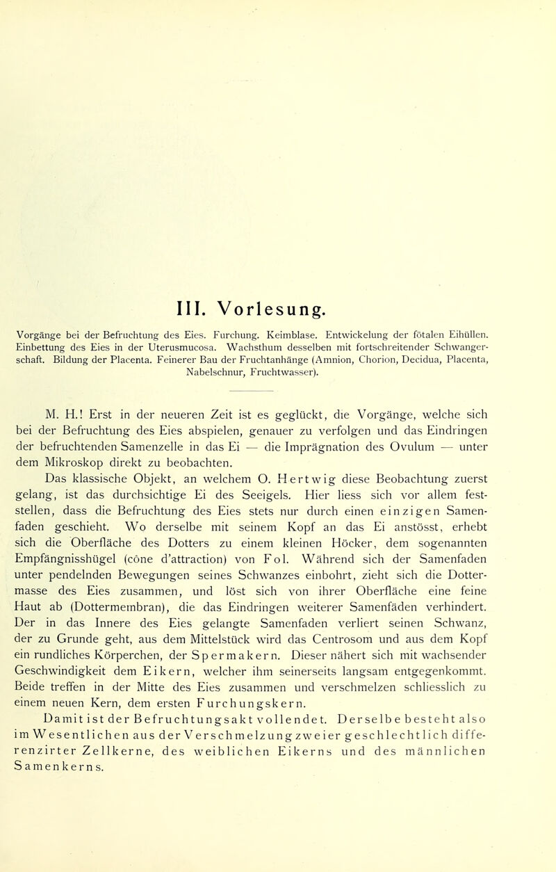 Vorgänge bei der Befruchtung des Eies. Furchung. Keimblase. Entwicklung der fötalen Eihüllen. Einbettung des Eies in der Uterusmucosa. Wachsthum desselben mit fortschreitender Schwanger- schaft. Bildung der Placenta. Feinerer Bau der Fruchtanhänge (Amnion, Chorion, Decidua, Placenta, Nabelschnur, Fruchtwasser). M. H.! Erst in der neueren Zeit ist es geglückt, die Vorgänge, welche sich bei der Befruchtung des Eies abspielen, genauer zu verfolgen und das Eindringen der befruchtenden Samenzelle in das Ei — die Imprägnation des Ovulum — unter dem Mikroskop direkt zu beobachten. Das klassische Objekt, an welchem O. Hertwig diese Beobachtung zuerst gelang, ist das durchsichtige Ei des Seeigels. Hier liess sich vor allem fest- stellen, dass die Befruchtung des Eies stets nur durch einen einzigen Samen- faden geschieht. Wo derselbe mit seinem Kopf an das Ei anstösst, erhebt sich die Oberfläche des Dotters zu einem kleinen Höcker, dem sogenannten Empfängnisshügel (cöne d'attraction) von Fol. Während sich der Samenfaden unter pendelnden Bewegungen seines Schwanzes einbohrt, zieht sich die Dotter- masse des Eies zusammen, und löst sich von ihrer Oberfläche eine feine Haut ab (Dottermembran), die das Eindringen weiterer Samenfäden verhindert. Der in das Innere des Eies gelangte Samenfaden verliert seinen Schwanz, der zu Grunde geht, aus dem Mittelstück wird das Centrosom und aus dem Kopf ein rundliches Körperchen, der Spermakern. Dieser nähert sich mit wachsender Geschwindigkeit dem Eikern, welcher ihm seinerseits langsam entgegenkommt. Beide treffen in der Mitte des Eies zusammen und verschmelzen schliesslich zu einem neuen Kern, dem ersten Furchungskern. Damit ist der Befruchtungsakt vollendet. Derselbe besteht also imWesentlichen aus der Verschmelzungzweier geschlechtlich diffe- renzirter Zellkerne, des weiblichen Eikerns und des männlichen Samenkerns.