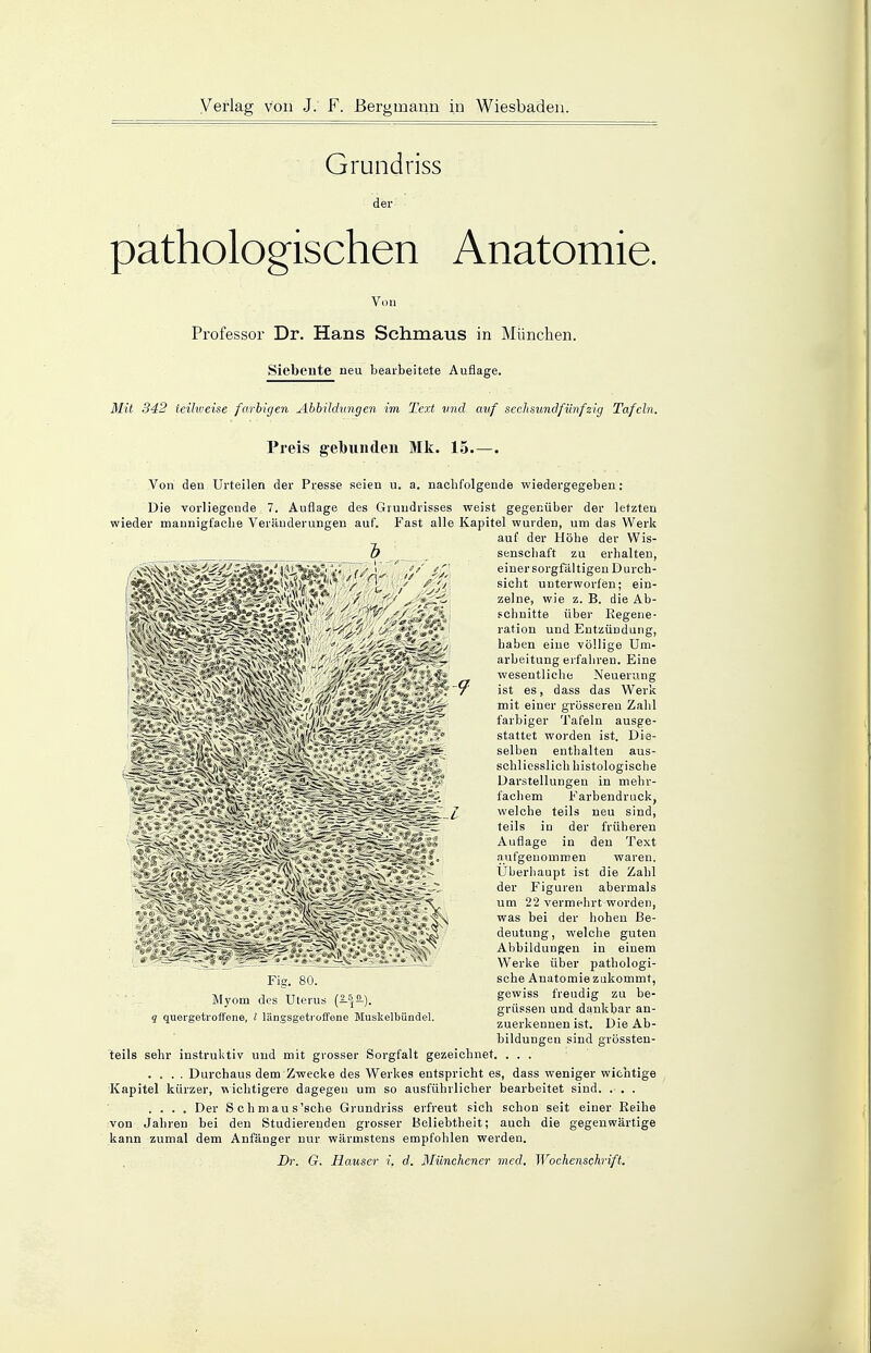 Grundriss der pathologischen Anatomie. Von Professor Dr. Hans Schmaus in München. Siebente neu bearbeitete Auflage. Mit 342 teilweise farbigen Abbildungen im Text und. auf sechsundfünfzig Tafeln. Preis gebunden Mk. 15.—. Von den Urteilen der Presse seien u. a. nachfolgende wiedergegeben: Die vorliegende 7. Auflage des Grundrisses weist gegenüber der letzten wieder mannigfache Veränderungen auf. Fast alle Kapitel wurden, um das Werk auf der Höhe der Wis- senschaft zu erhalten, einer sorgfältigen Durch- sicht unterworfen; ein- zelne, wie z. B. die Ab- schnitte über Regene- ration und Entzündung, haben eine völlige Um- arbeitung erfahren. Eine wesentliche Neuerung ist es, dass das Werk mit einer grösseren Zahl farbiger Tafeln ausge- stattet worden ist. Die- selben enthalten aus- schliesslich histologische Darstellungen in mehr- fachem Farbendruck, welche teils neu sind, teils in der früheren Auflage in den Text aufgenommen waren. Überhaupt ist die Zahl der Figuren abermals um 22 vermehrt worden, was bei der hohen Be- deutung, welche guten Abbildungen in einem Werke über pathologi- sche Anatomie zukommt, gewiss freudig zu be- grüssen und dankbar an- zuerkennen ist. Die Ab- bildungen sind grössten- teils sehr instruktiv und mit grosser Sorgfalt gezeichnet. . . . .... Durchaus dem Zwecke des Werkes entspricht es, dass weniger wichtige Kapitel kürzer, wichtigere dagegen um so ausführlicher bearbeitet sind. . . . .... Der Schmaus'sche Grundriss erfreut sich schon seit einer Reihe von Jahren bei den Studierenden grosser Beliebtheit; auch die gegenwärtige kann zumal dem Anfänger nur wärmstens empfohlen werden. Dr. G. Häuser i. d. Münchener med. Wochenschrift. b Fig. 80. Myom des Uterus (^-\!L). q quergetroffene, l längsgetroffene Muskelbündel.